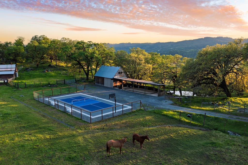 Pickleball and basketball court.