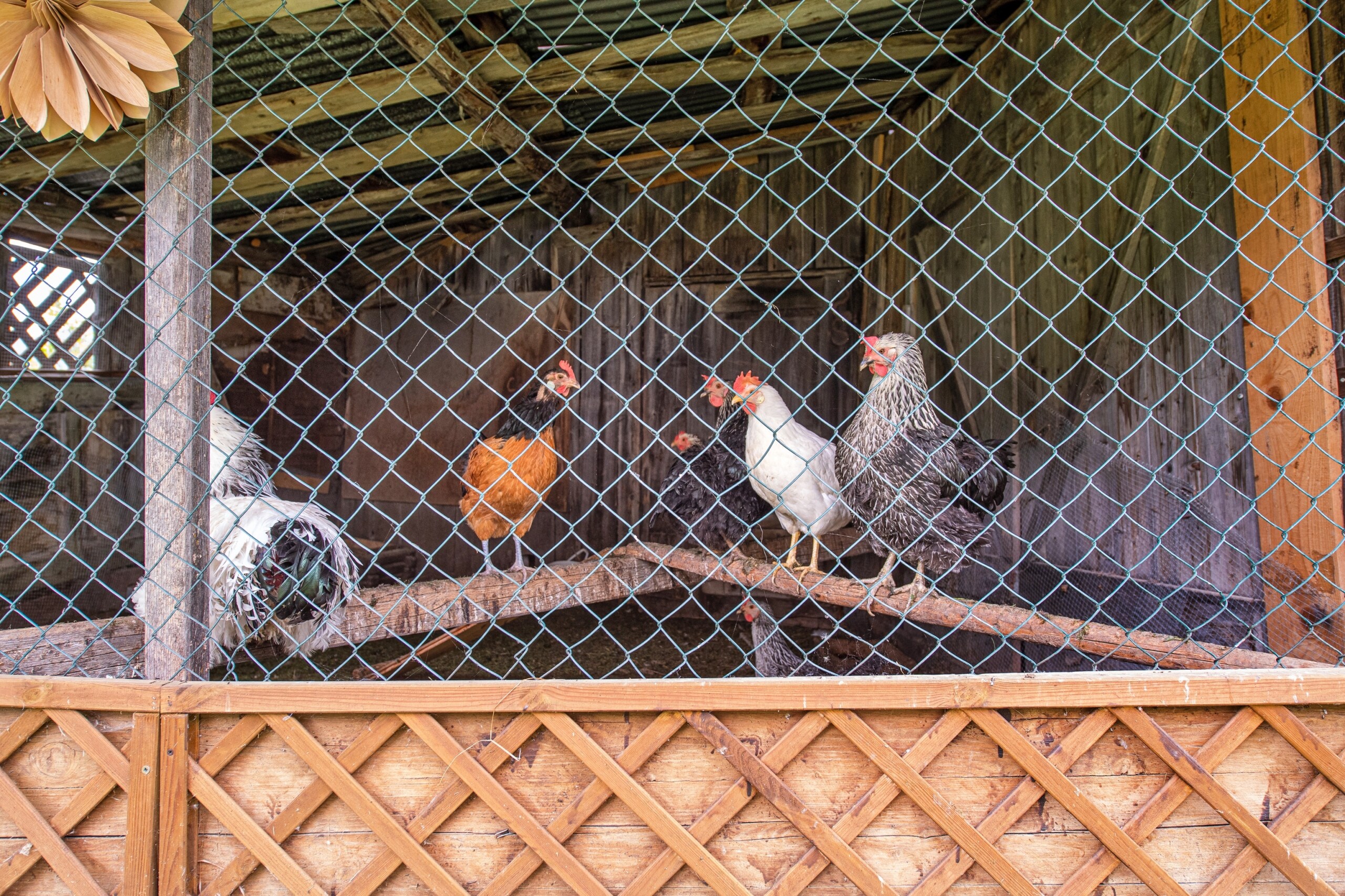 Apartments Culac 164C Apartments Culac 164C