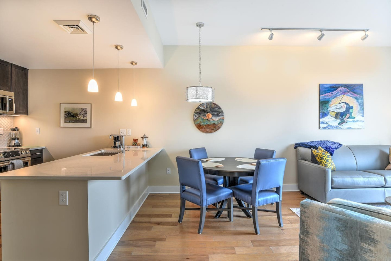 Pet Friendly Downtown Condo