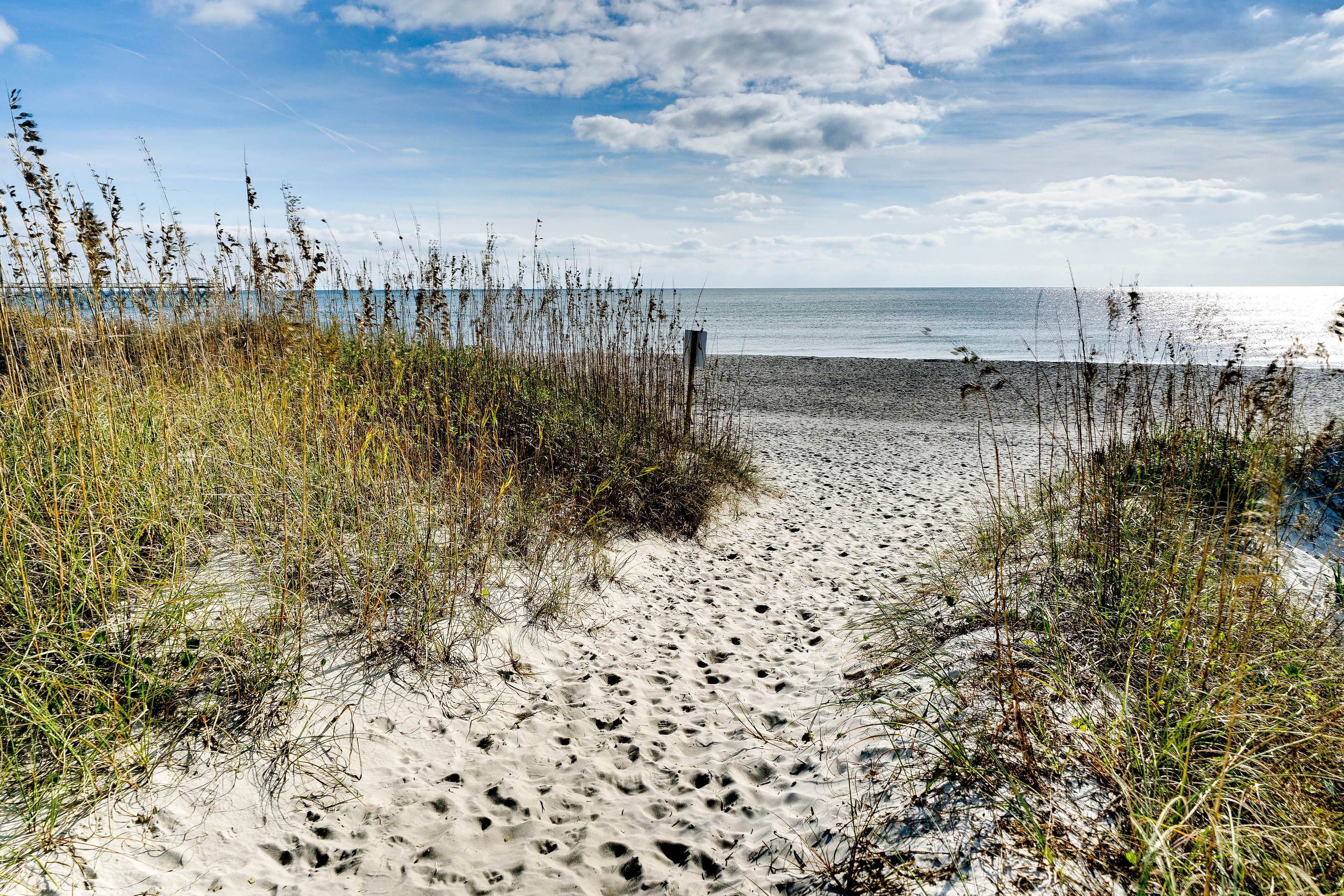 Property Image 2 - Serene Oak Island Home w/ Private Saltwater Pool!