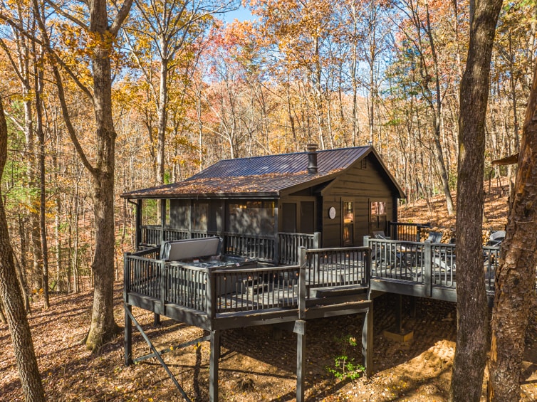 Property Image 2 - Treetop Getaway - Pet Friendly | Hot Tub | Screened Porch