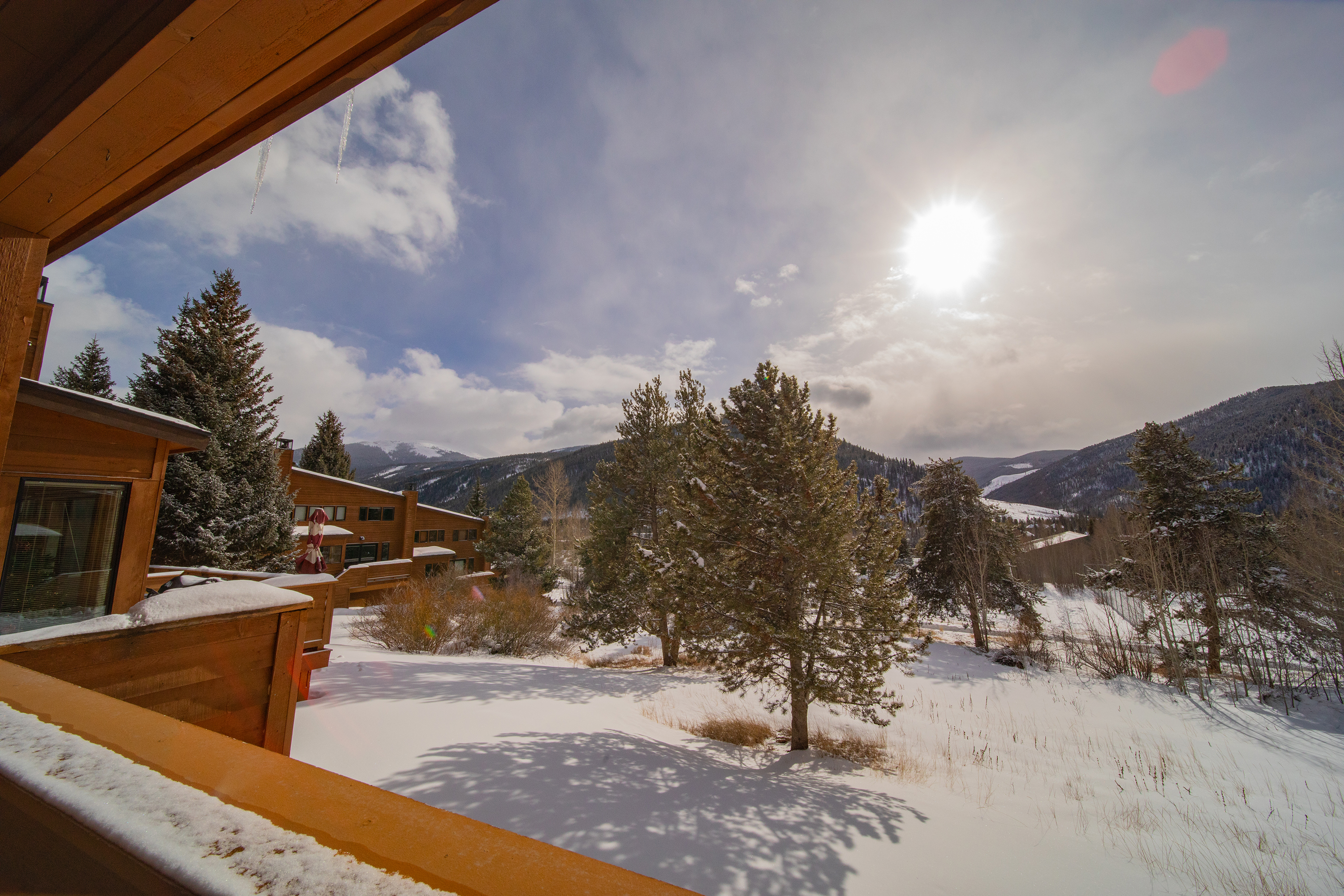 Unobstructed mountain and forest views!
