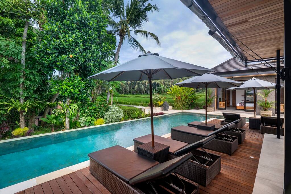 Outdoor area, pool with ricefield view