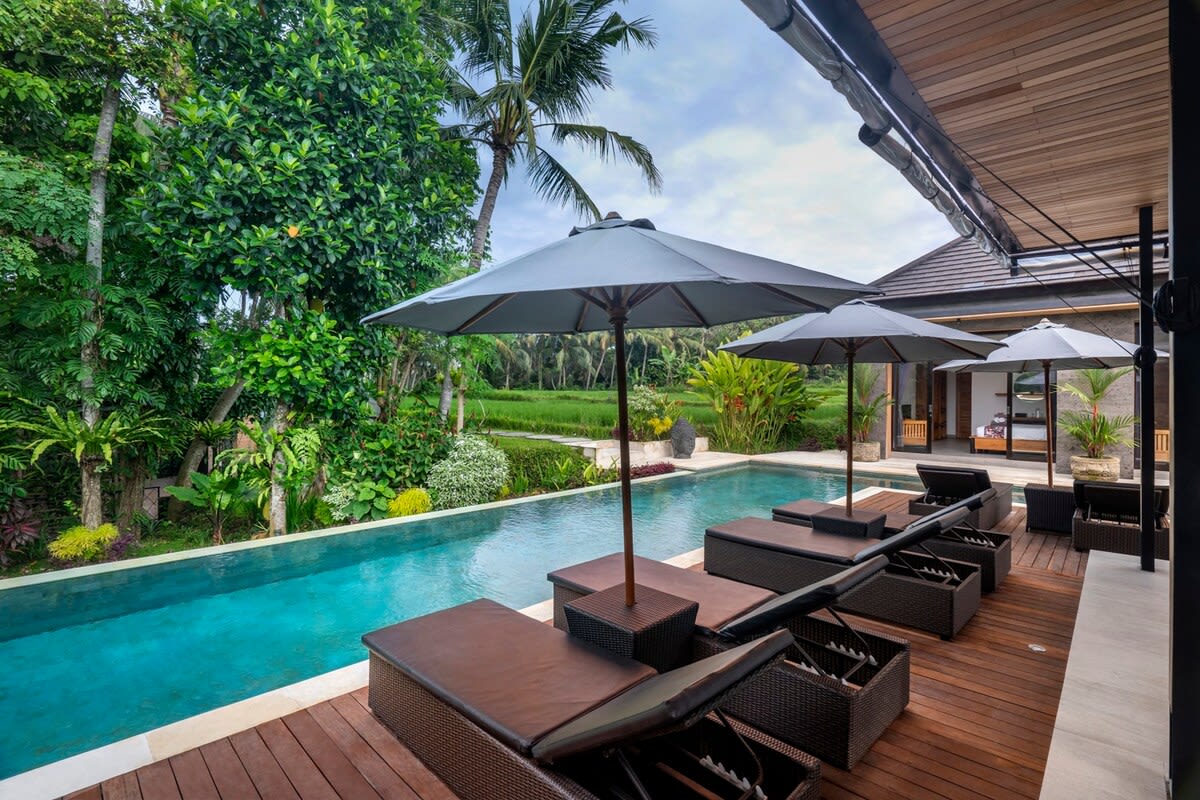 Outdoor area, pool with ricefield view