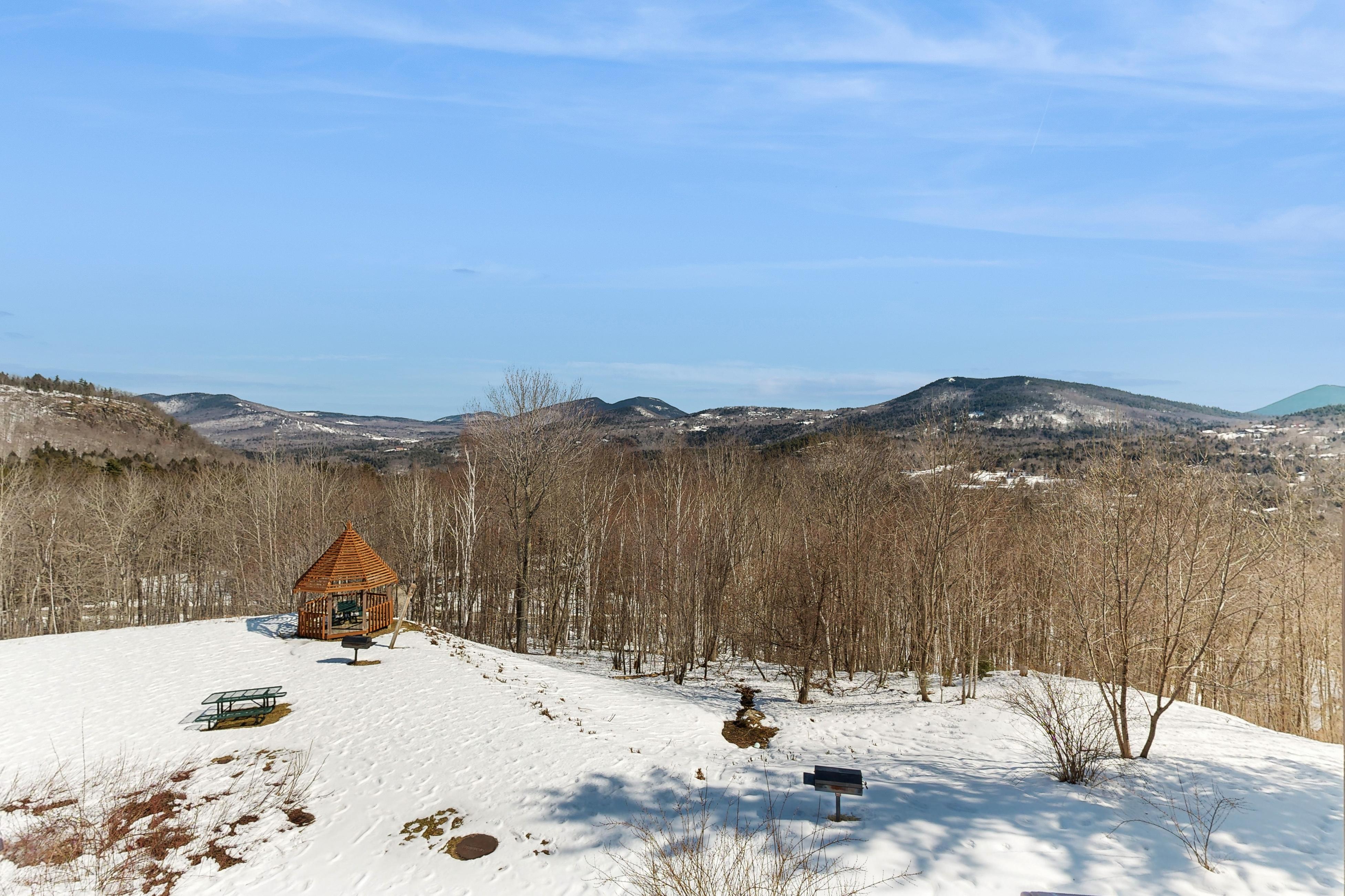 White Birch at Nordic Village