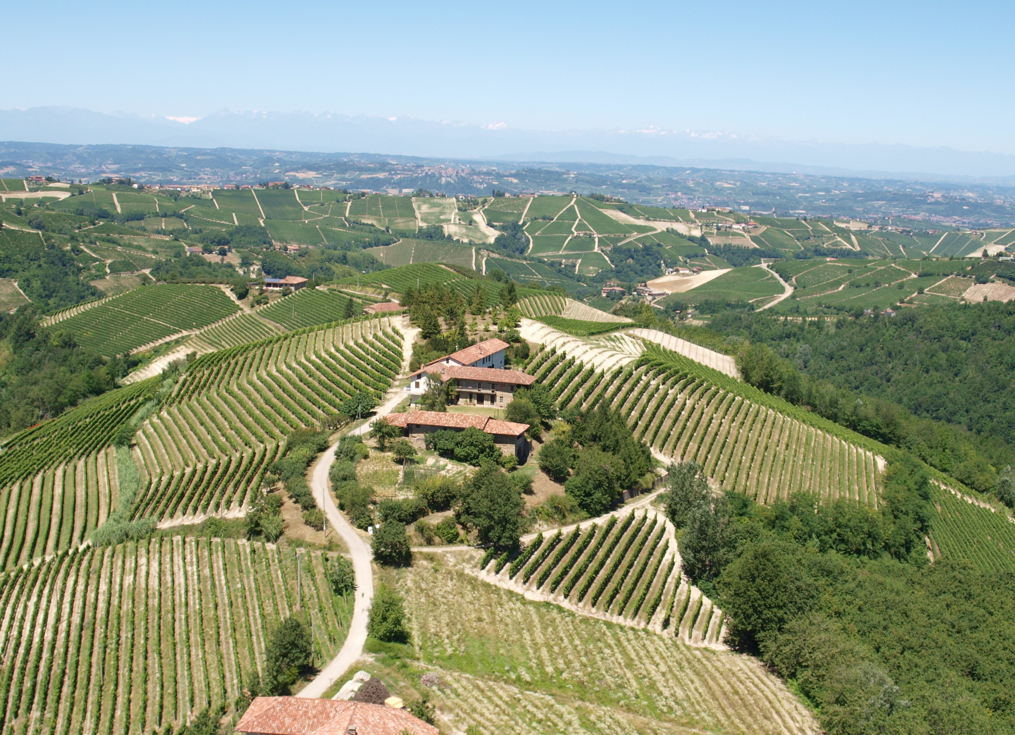 Property Image 2 - Private Estate Among the Vineyards of Alba - Italy