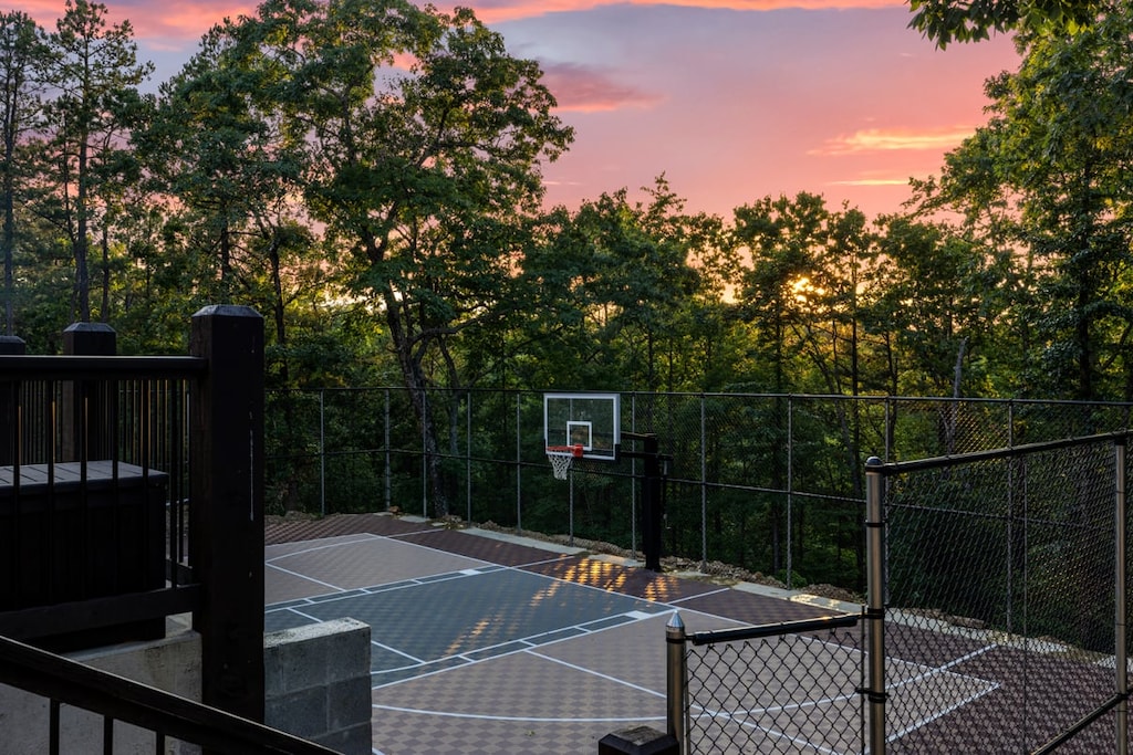 Custom basketball & pickleball court