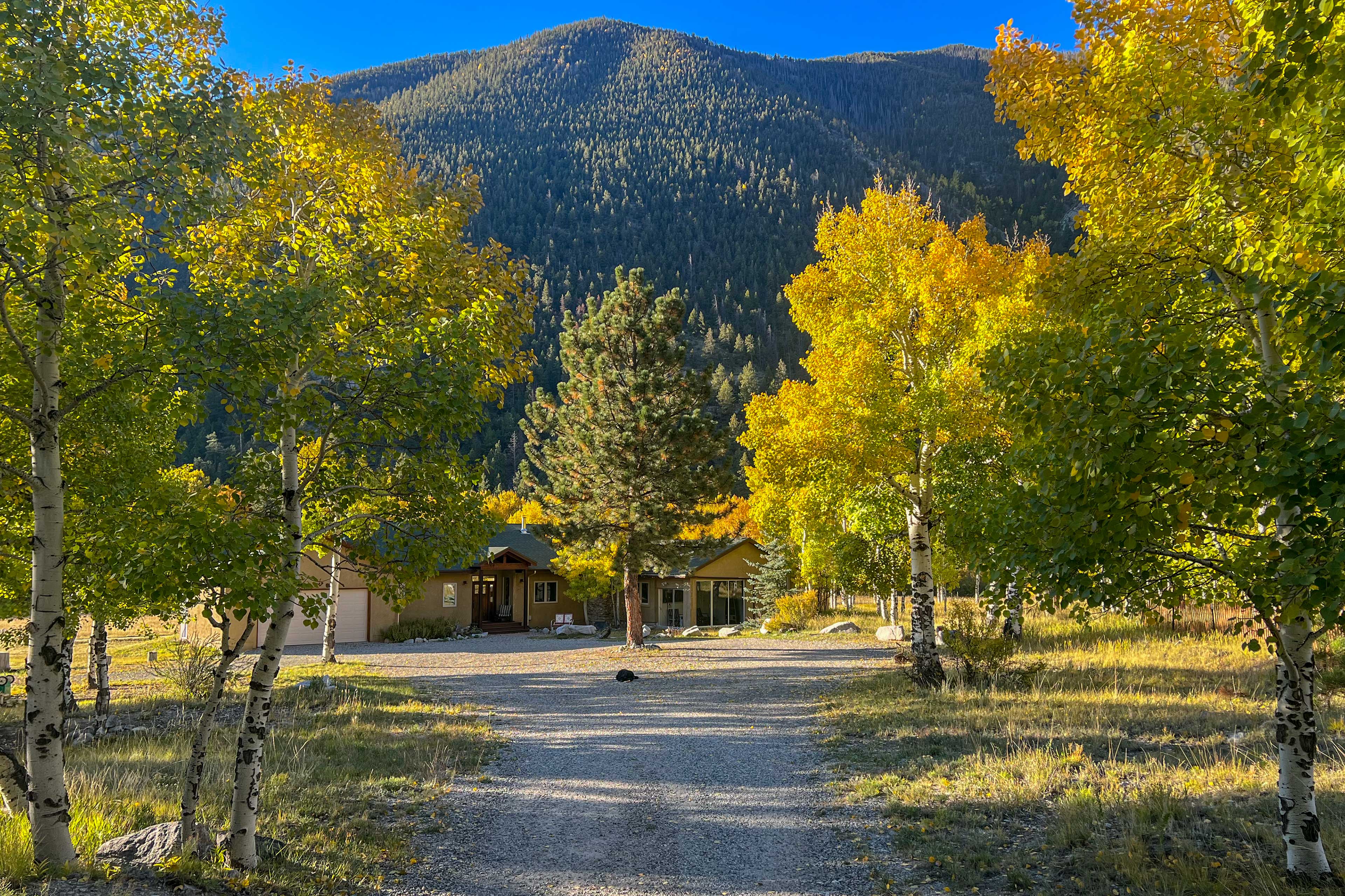 Property Image 2 - Close to Hot Springs: Chalk Creek Meadows Home!