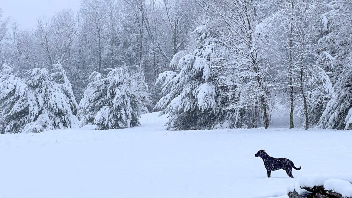 Hidden Ridge: Private Oasis w/ Pool, Hot Tub+Views