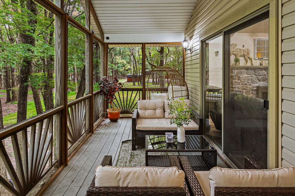 Welcome to Frolic on Fern!