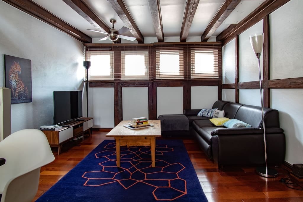 Property Image 1 - L’Or - Typical Alsacian apartment in Strasbourg