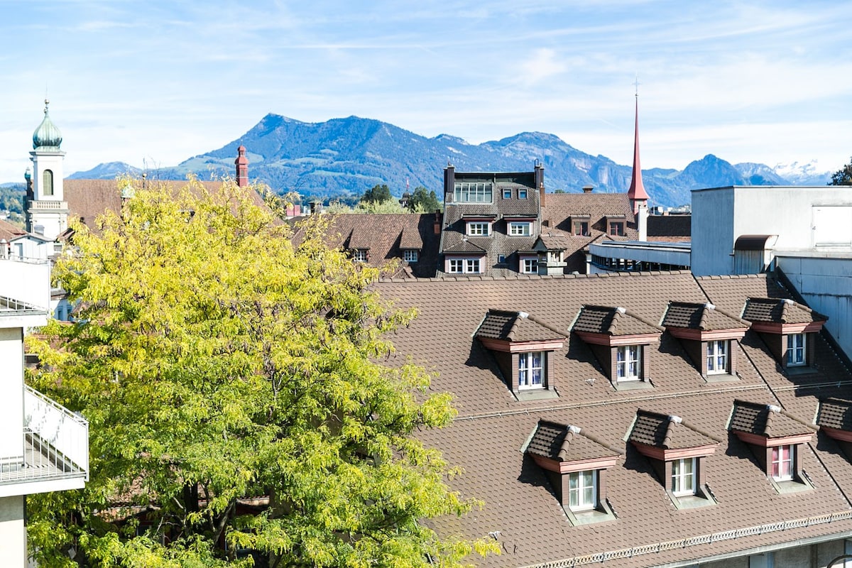 Lucern 2-BR Flat w/Netflix. Near the Old Town