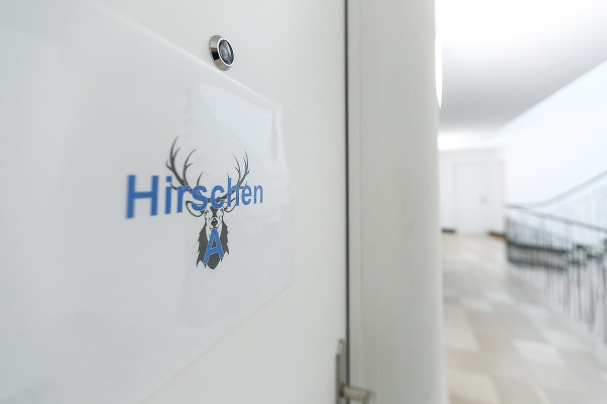 Central Lucerne Flat • Balcony & Alpine Views