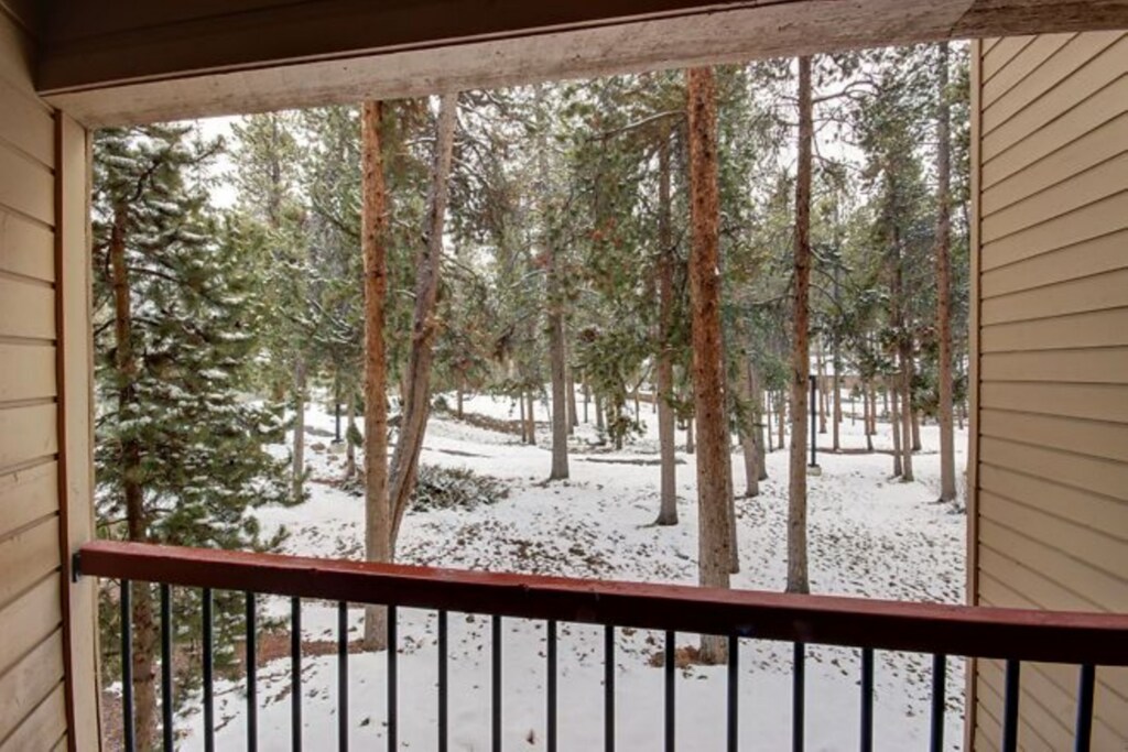 Forest and neighborhood views! #winter