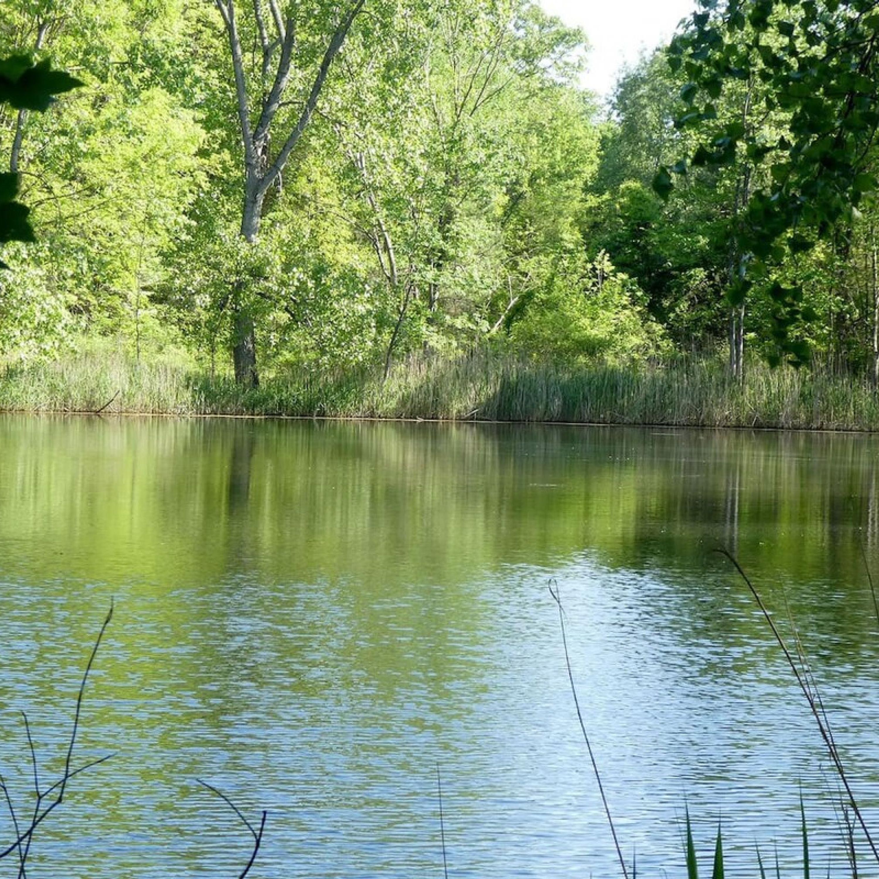Lush Designer Retreat on Pond near Rhinebeck