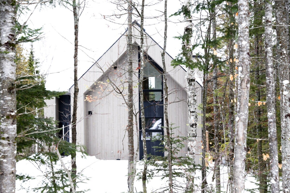 Chalet behind the trees