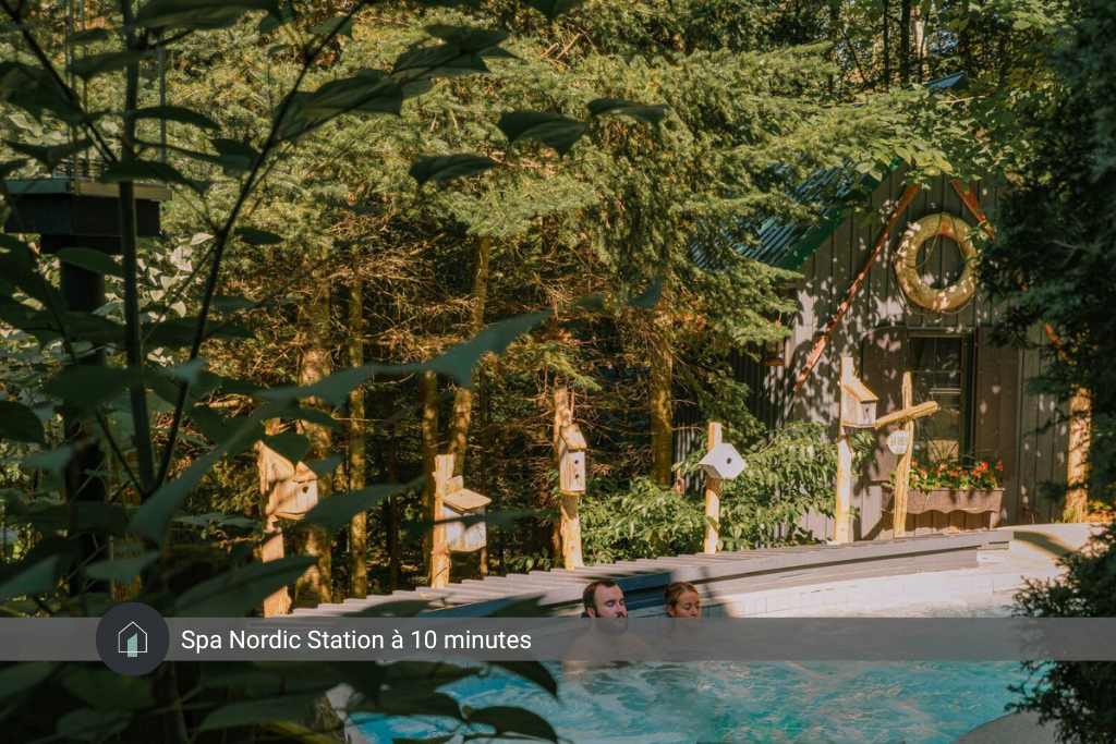 Forest plunge. Enjoy the Nordic Spa moments.