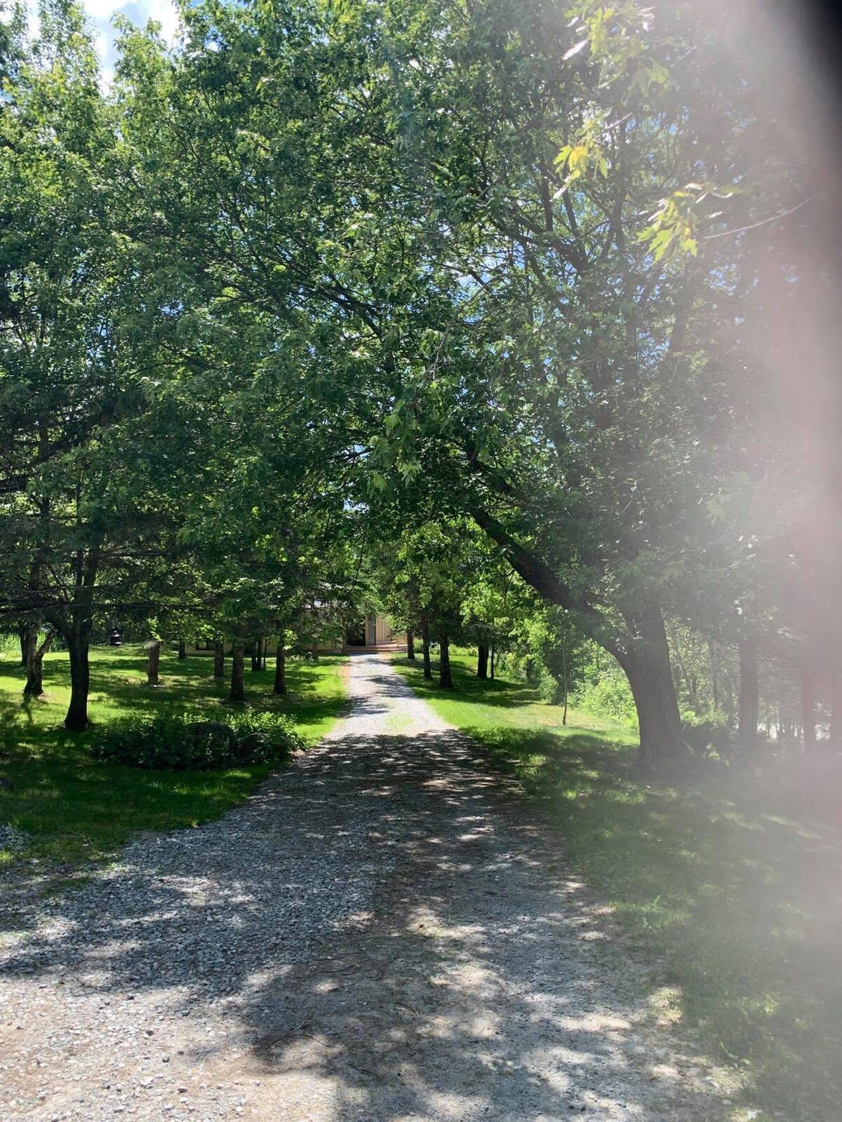 Chemin privé pour se rendre au chalet.