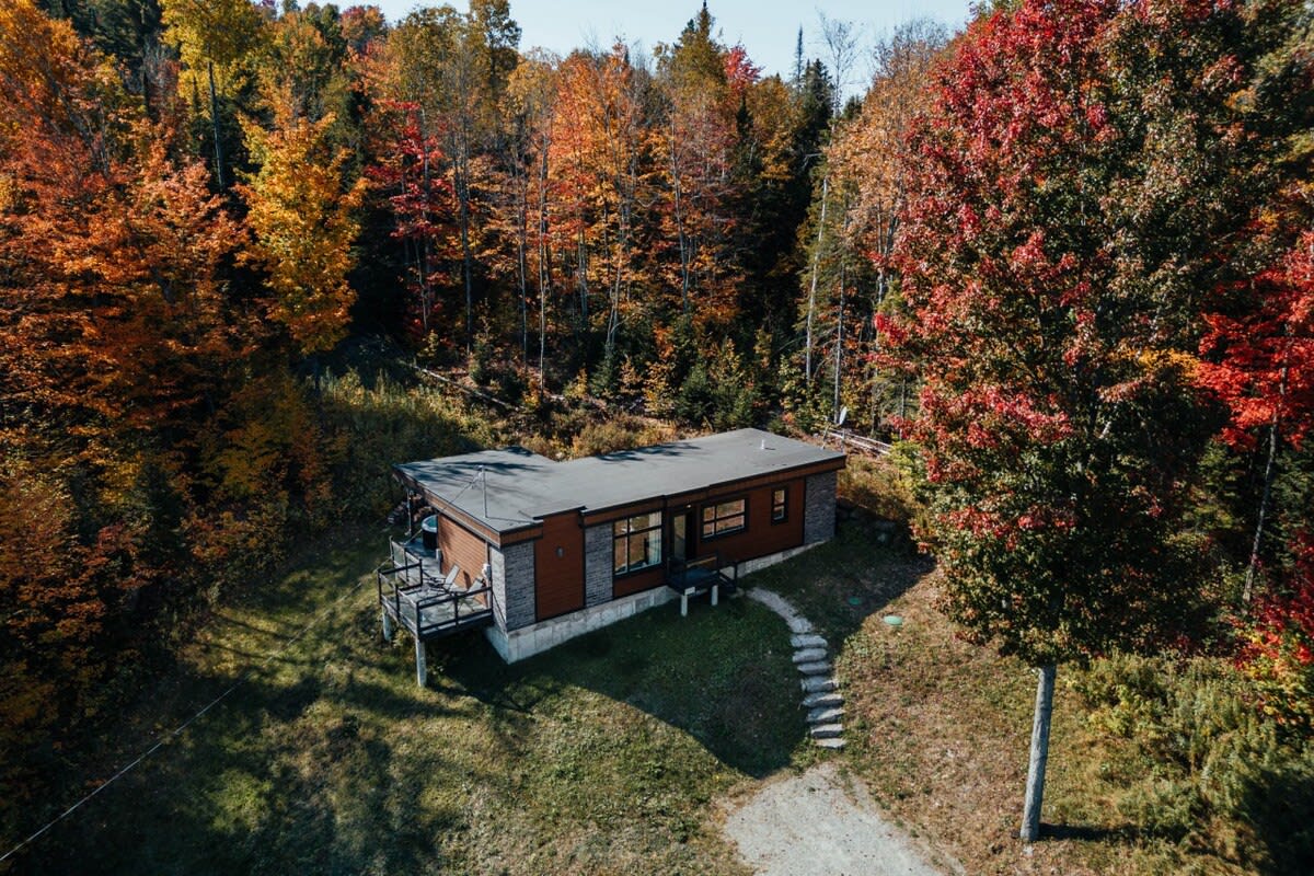 Vue aérienne en plein automne