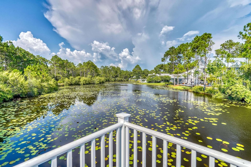 Beautiful spot for family pics