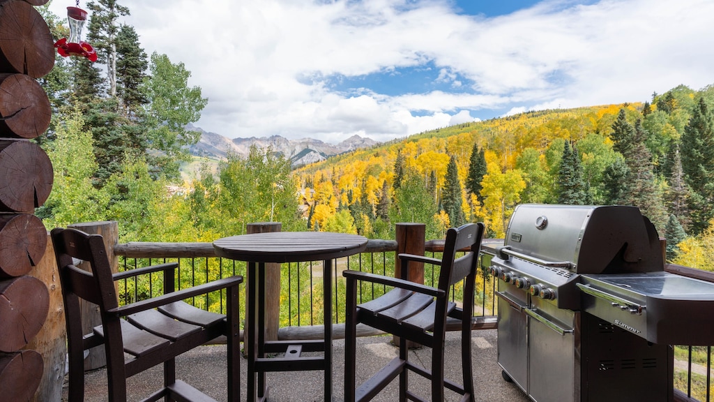 BBQ/grill and outdoor table.