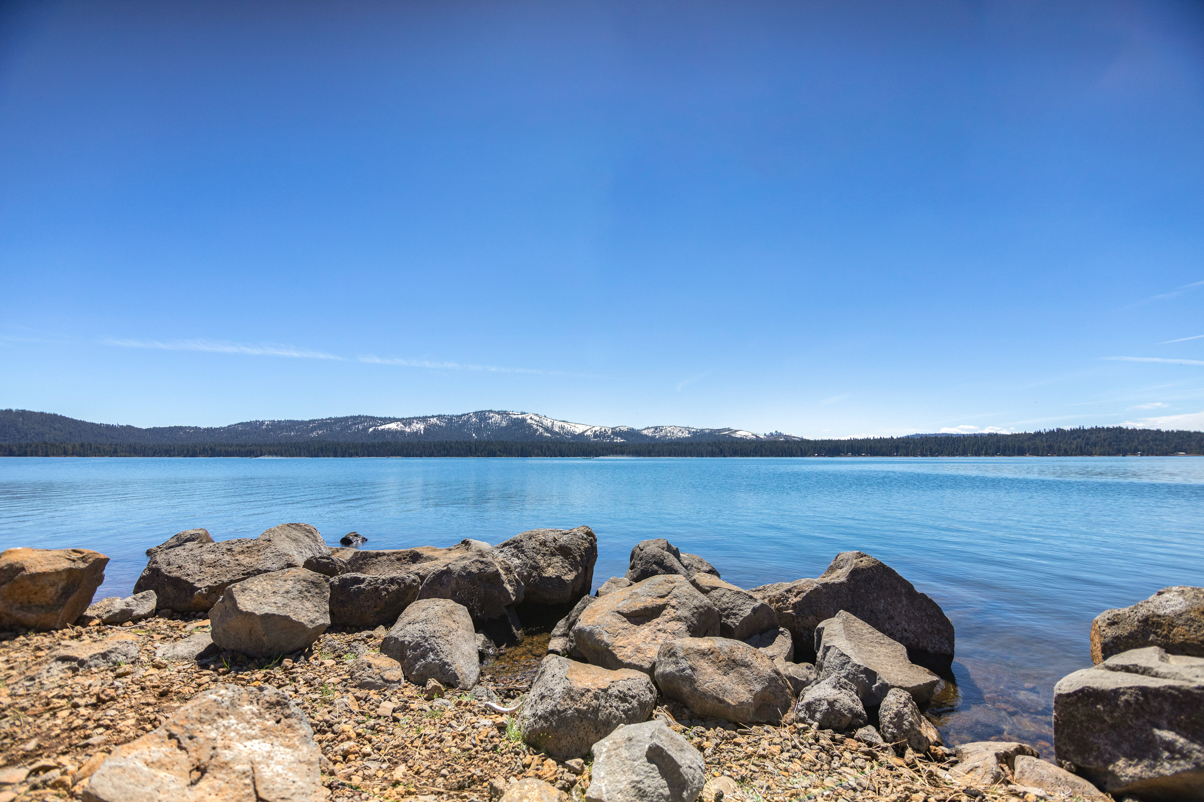 Woodsy Lake Almanor Cabin w/ Community Perks!