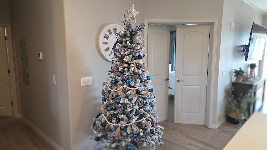 Holiday decor may vary from year to year and is usually displayed from November to January