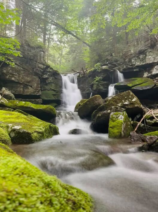 "The [backyard] waterfall is a unique amenities , perfect to do morning meditation" - Airbnb guest review