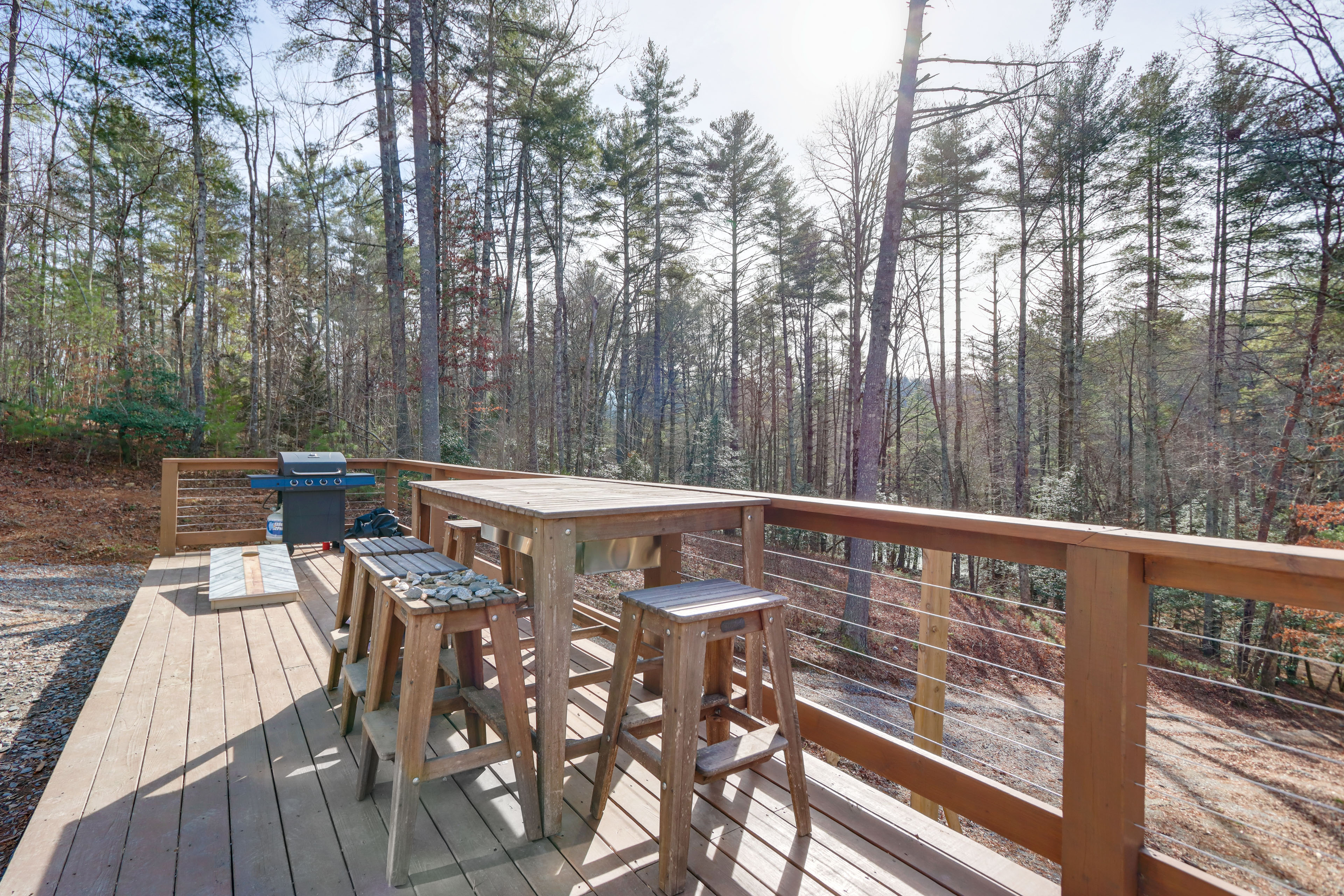 Property Image 1 - Forested Ellijay Cabin Rental w/ Private Hot Tub!