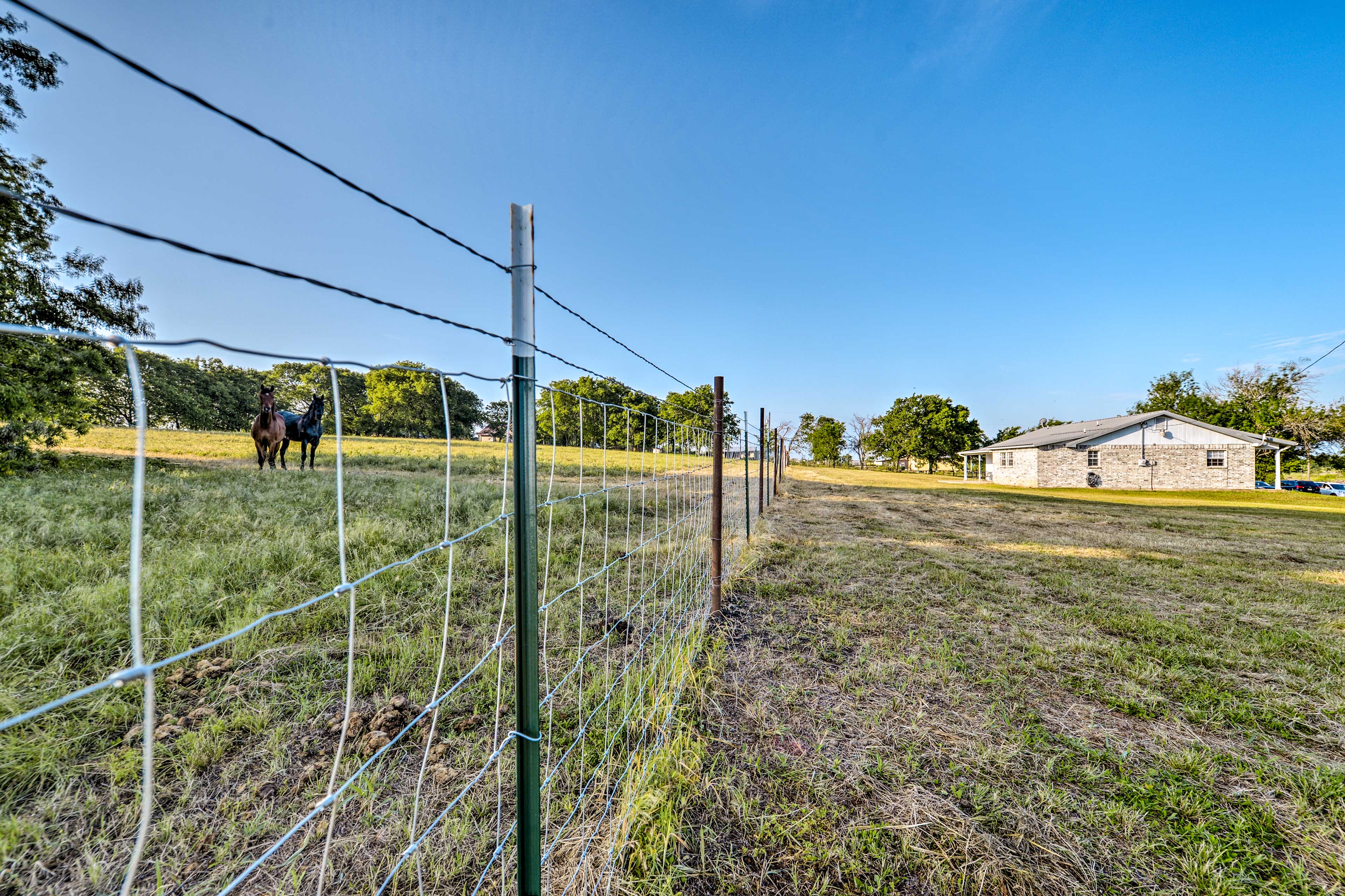 Property Image 2 - ’Willows Nest Inn’ - Moody Home Near Belton Lake!