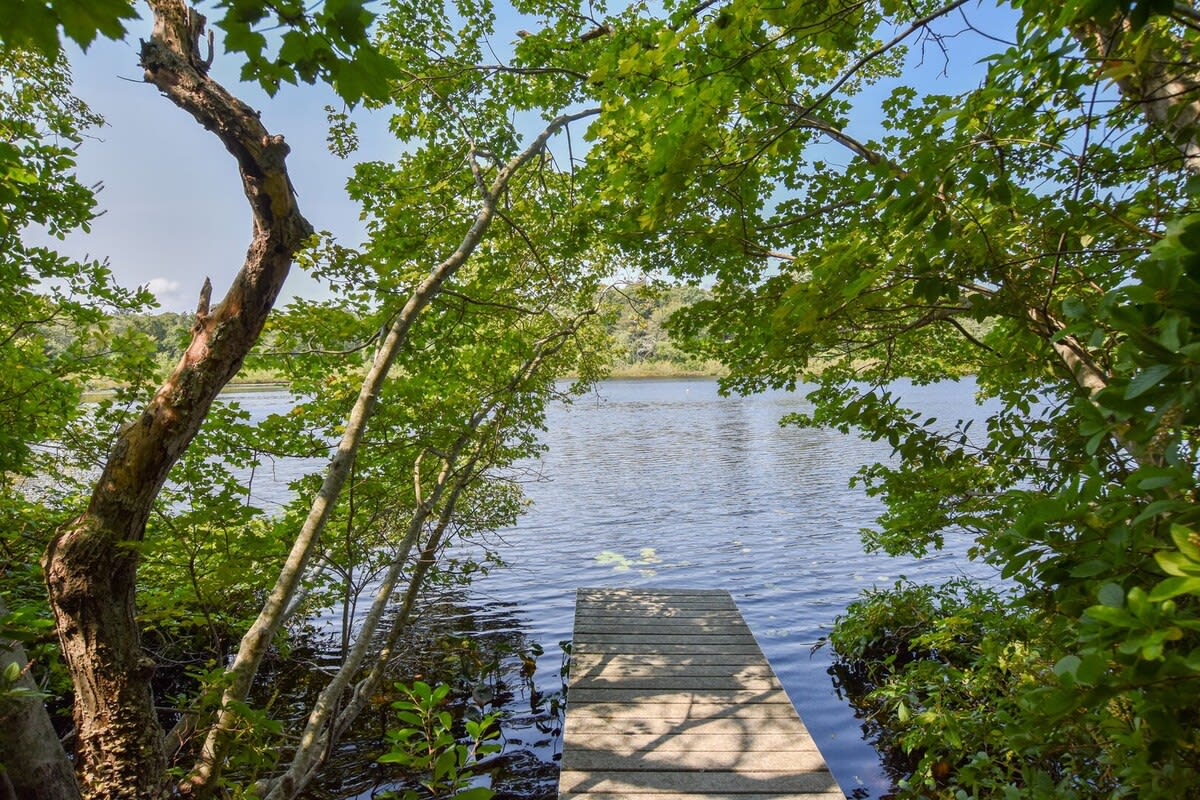 Property Image 1 - Pond Front Home with Private Dock!