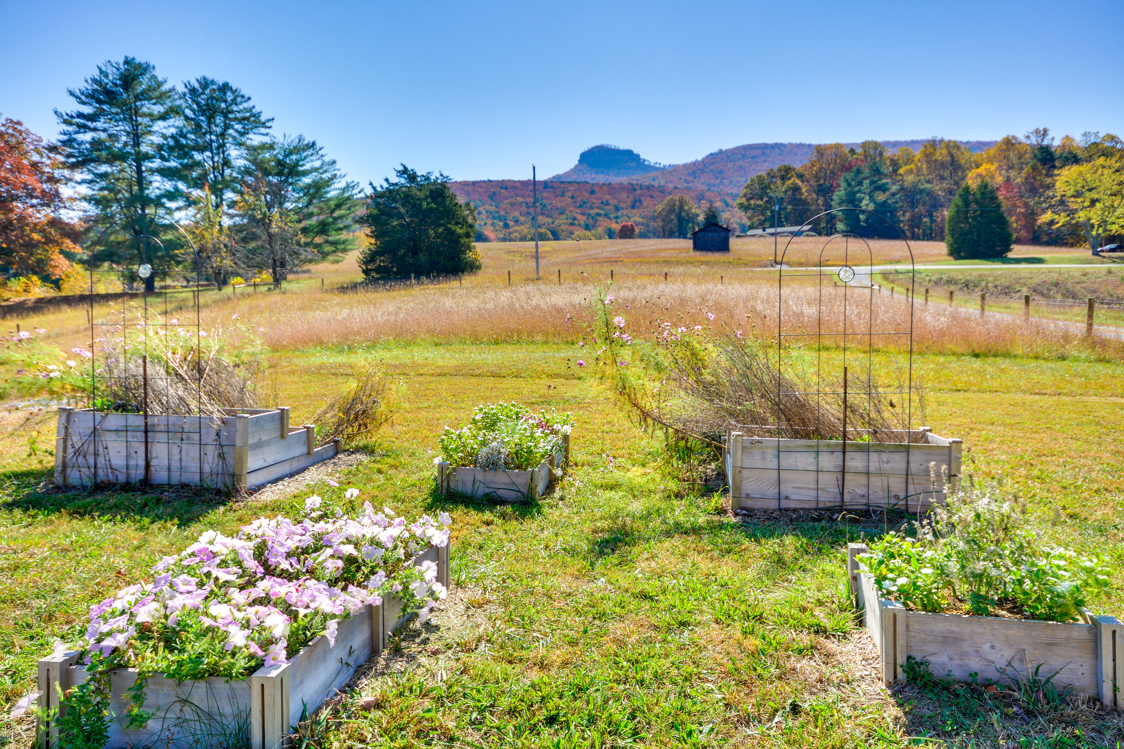 Beautiful Farmhouse w/ Pilot Mtn State Park Views!