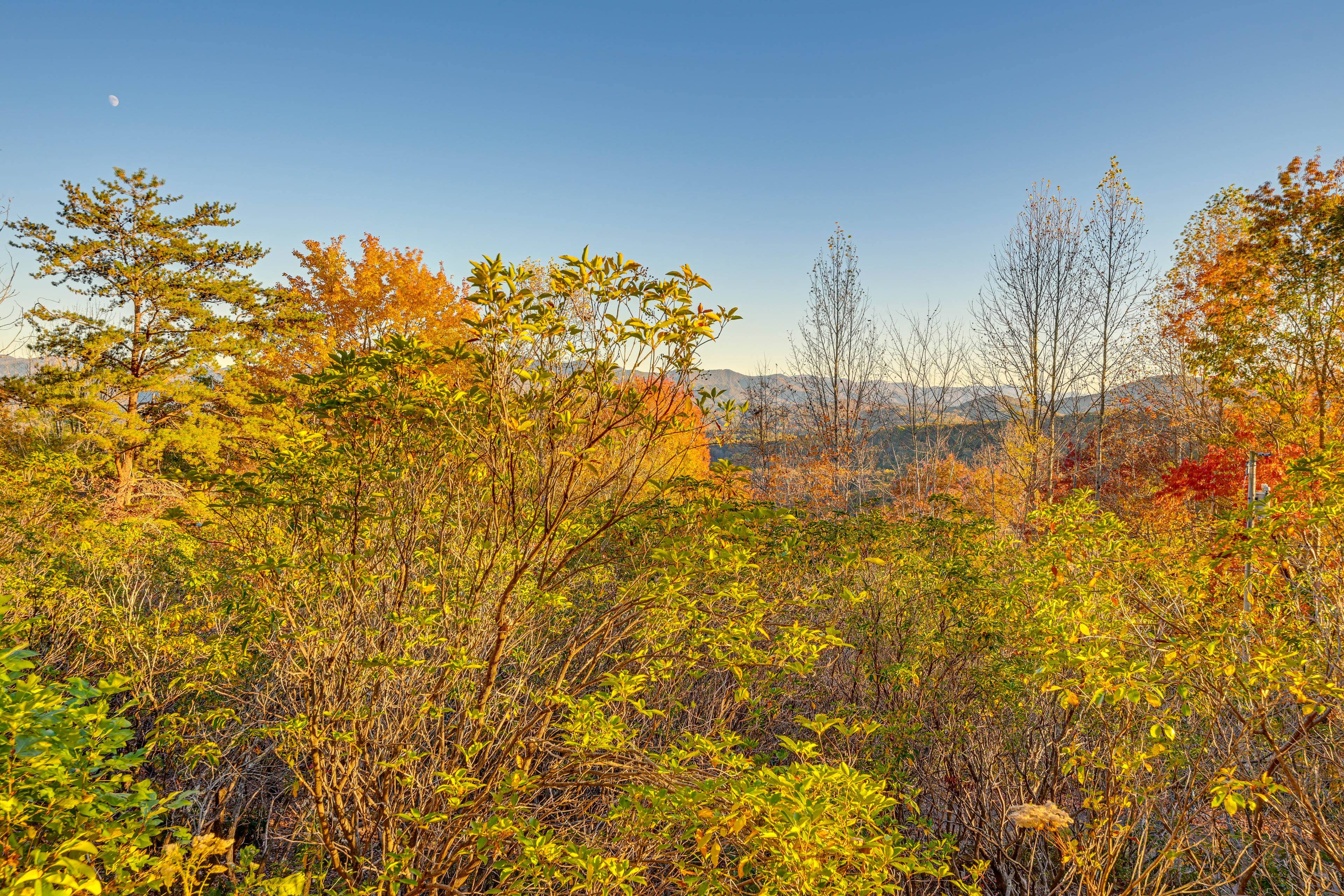 Property Image 1 - Stunning Franklin Cabin w/ Deck & Mountain Views