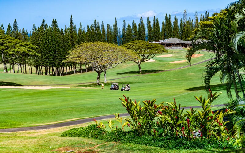 Property Image 1 - Kapalua Golf Villa 16P7 Fairway View 2 Bedroom