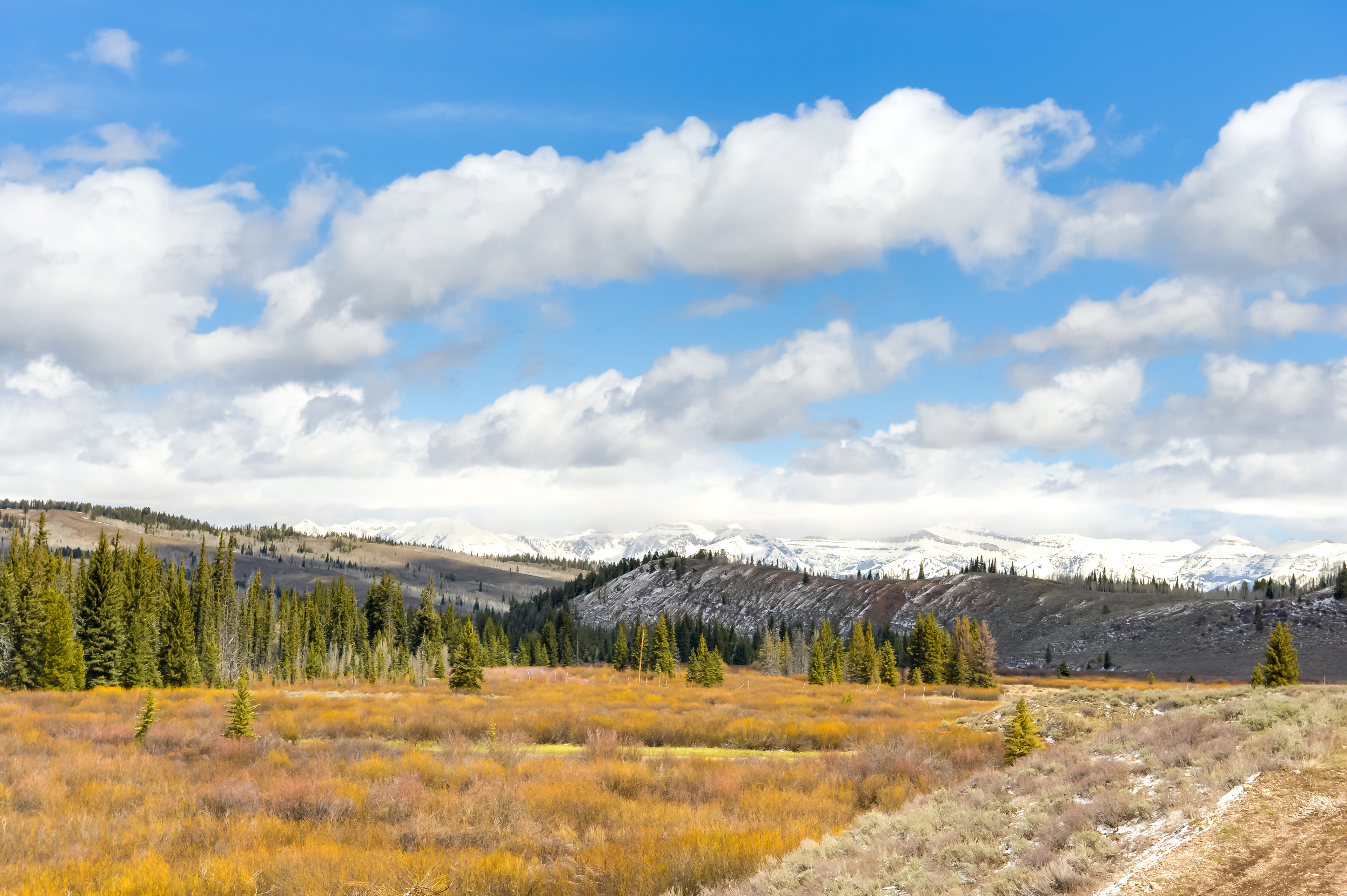 Property Image 2 - Rustic Bondurant Cabin: Fish, Hike, Bike & ATV!