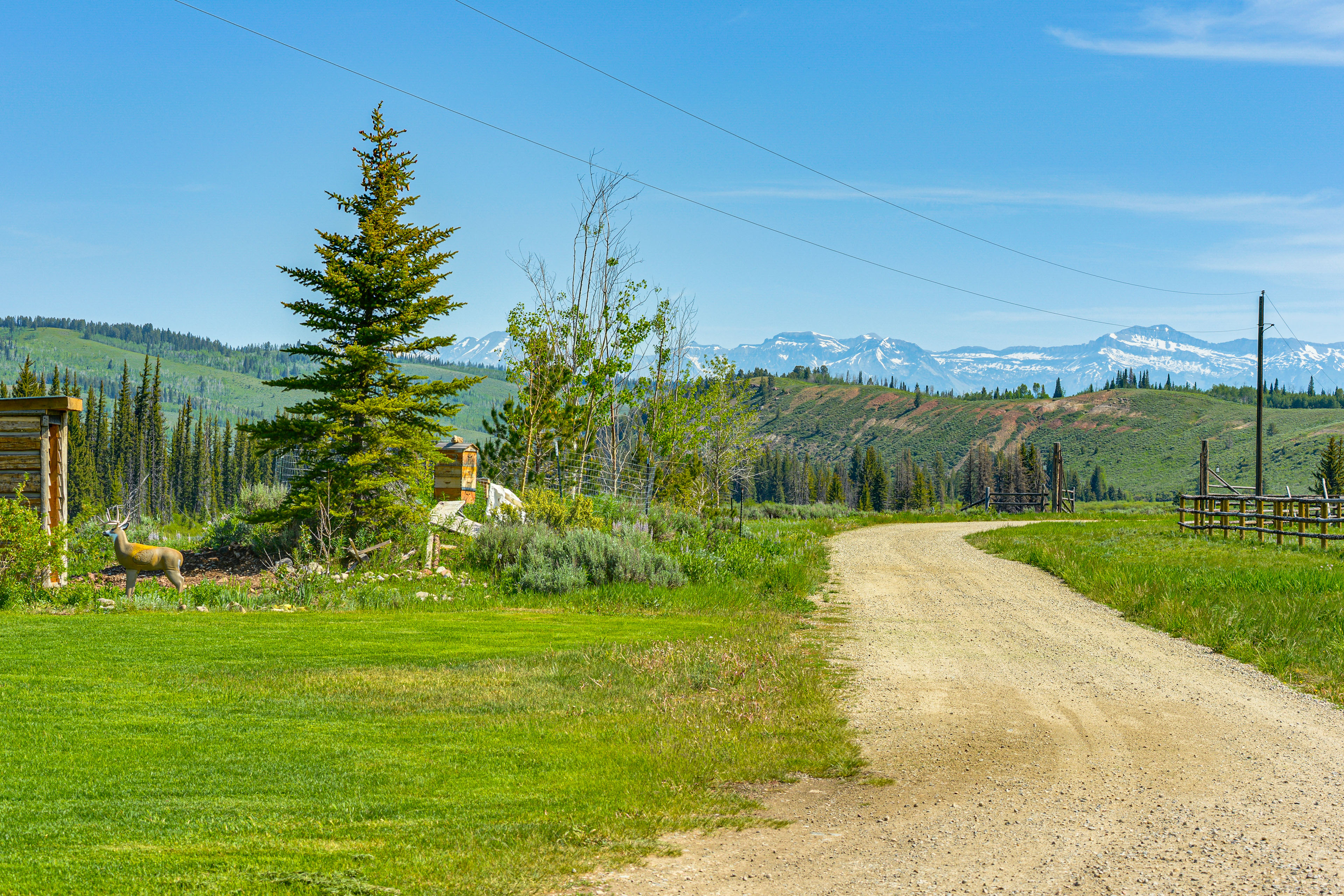 Rustic Bondurant Cabin: Fish, Hike, & Bike!
