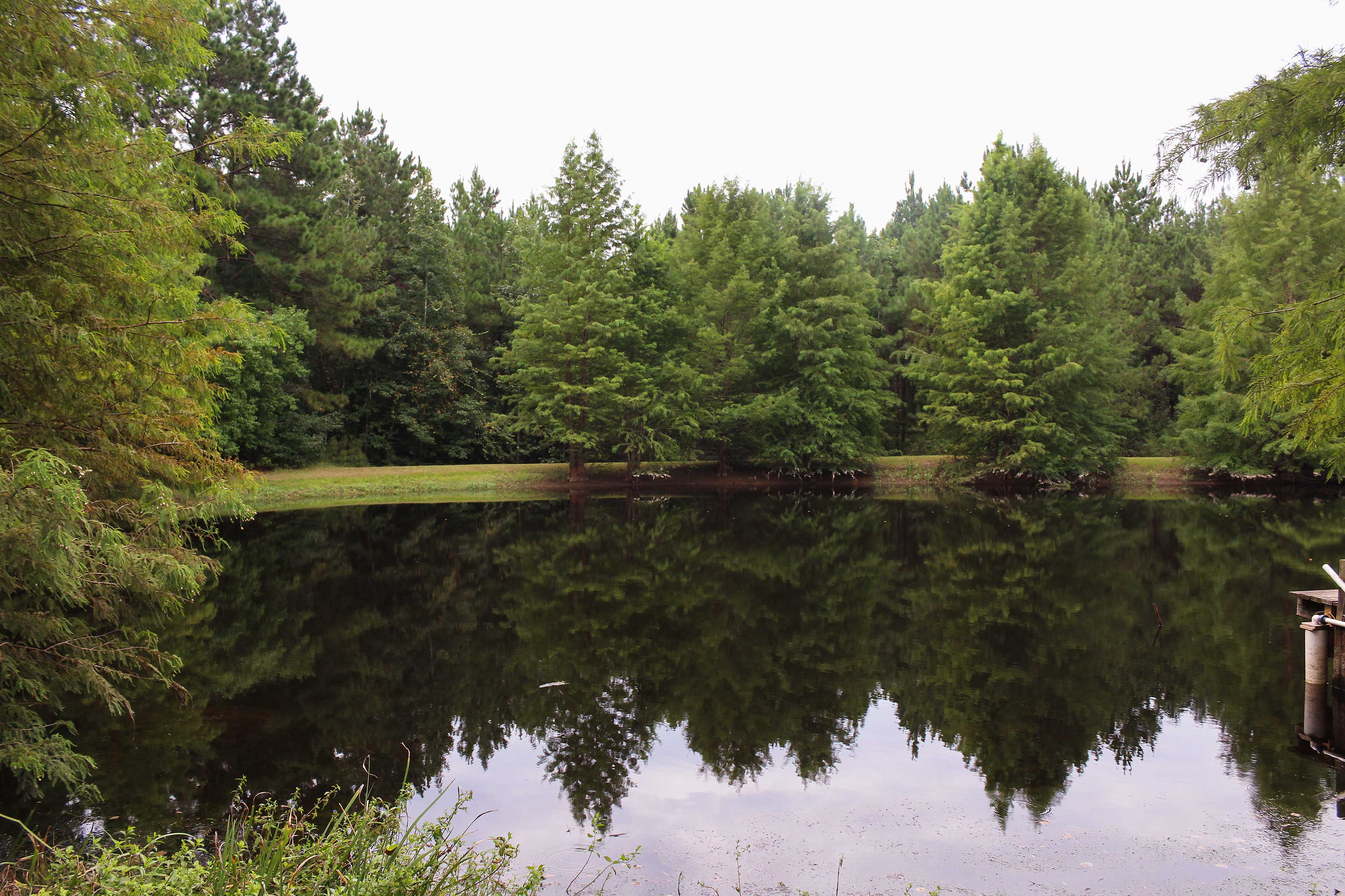 'Beaver Creek Lodge' - Huntington Home w/ Pond!