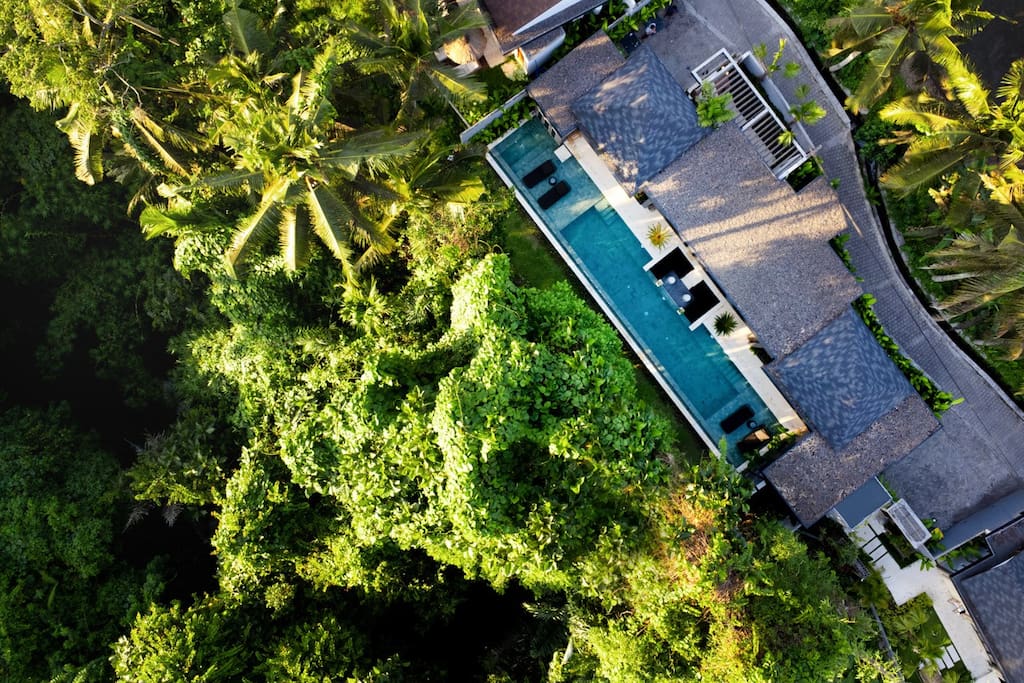 Property Image 1 - 2BR Escape w/ Infinity Pool & Nature View Ubud