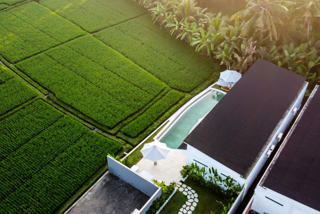 Property Image 1 - Ubuds Best Rice Field Views, 3BR Villa w/ Pool