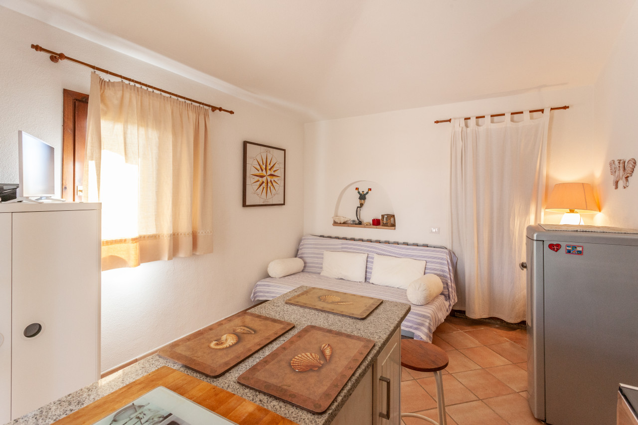 Sa Domo e Aurelia - Ulivo