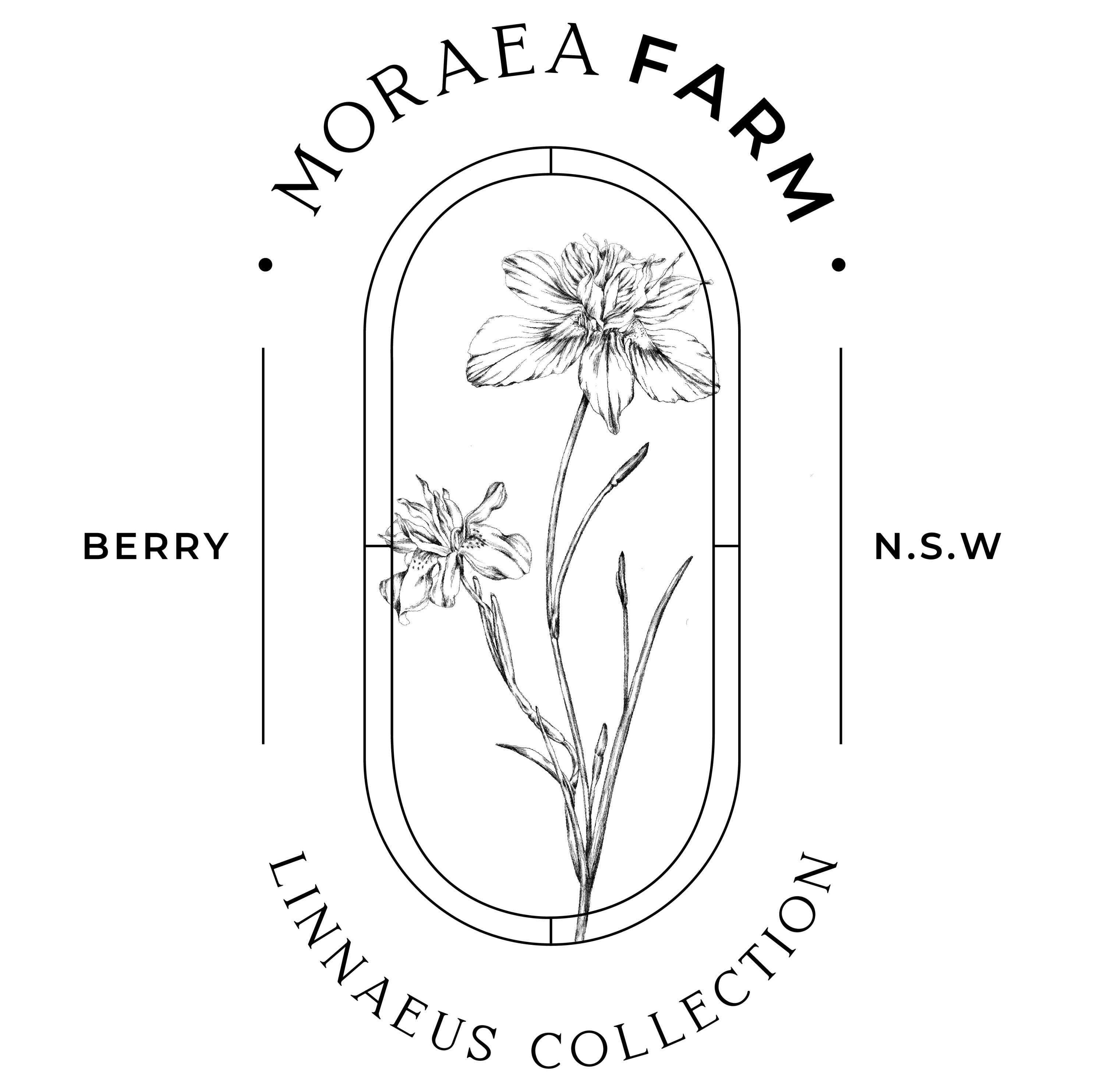 Property Image 2 - Moraea Farm, Berry - by Linnaeus Collection (Previously Far Meadow Cottage)