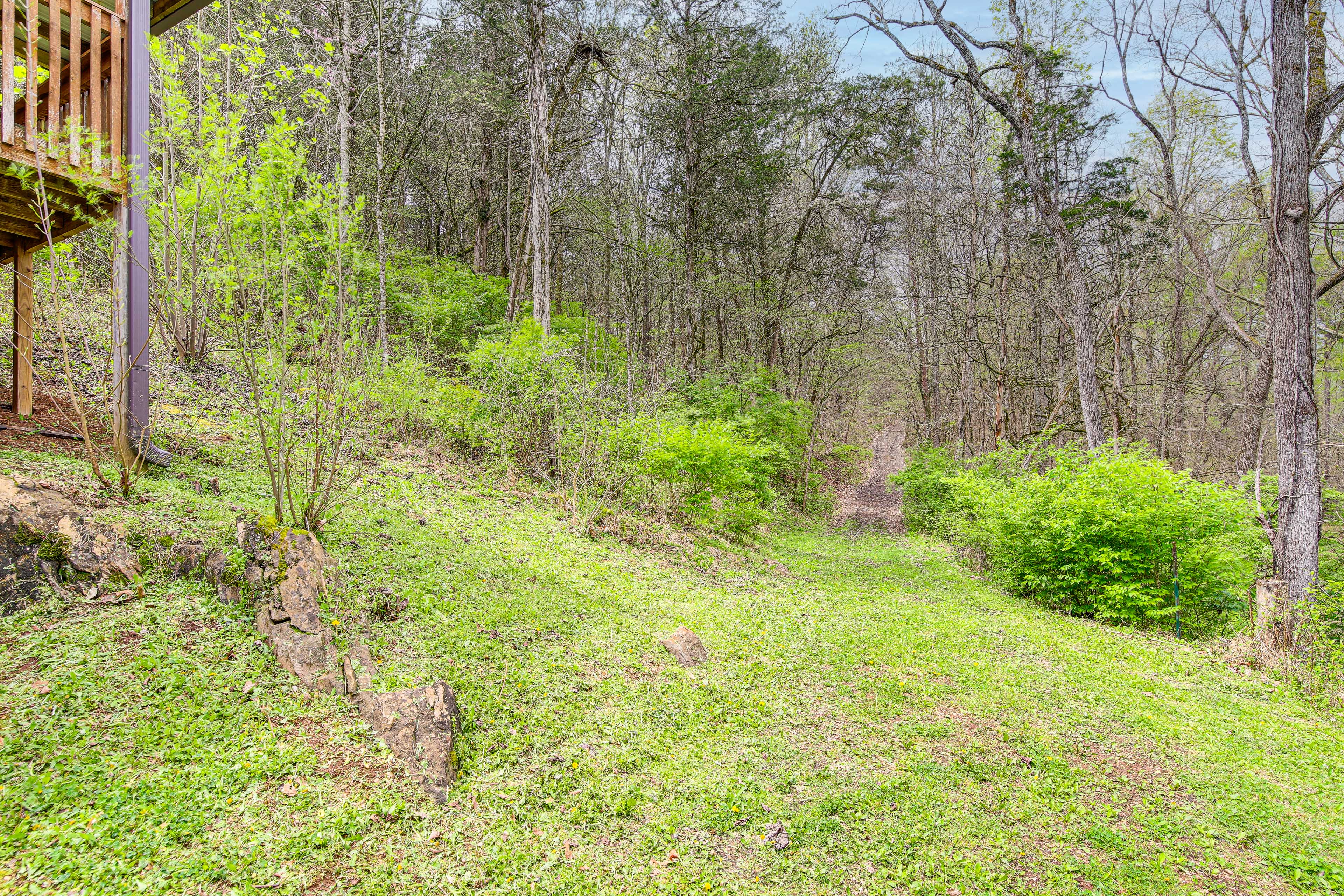 Property Image 1 - Tennessee Mountain Cabin ~ 18 Mi to Knoxville!