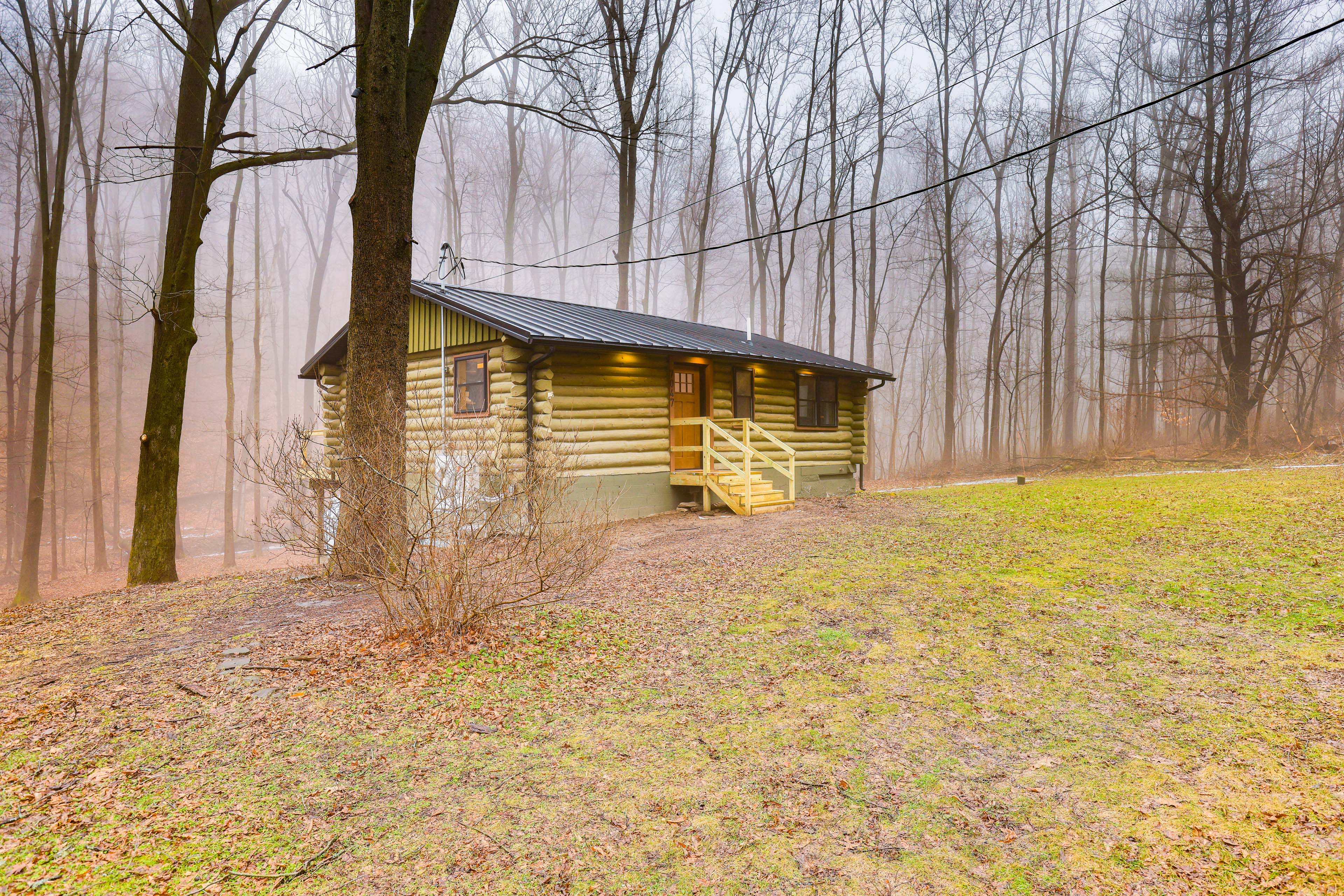 Property Image 2 - Secluded Naples Cabin w/ Deck & Stream Views