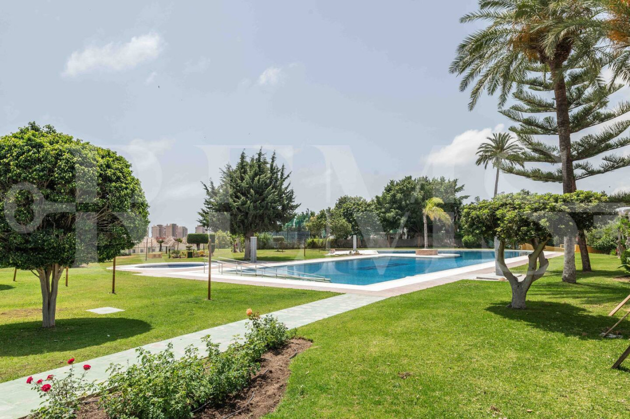 Property Image 2 - Swimming pool & terrace near the beach