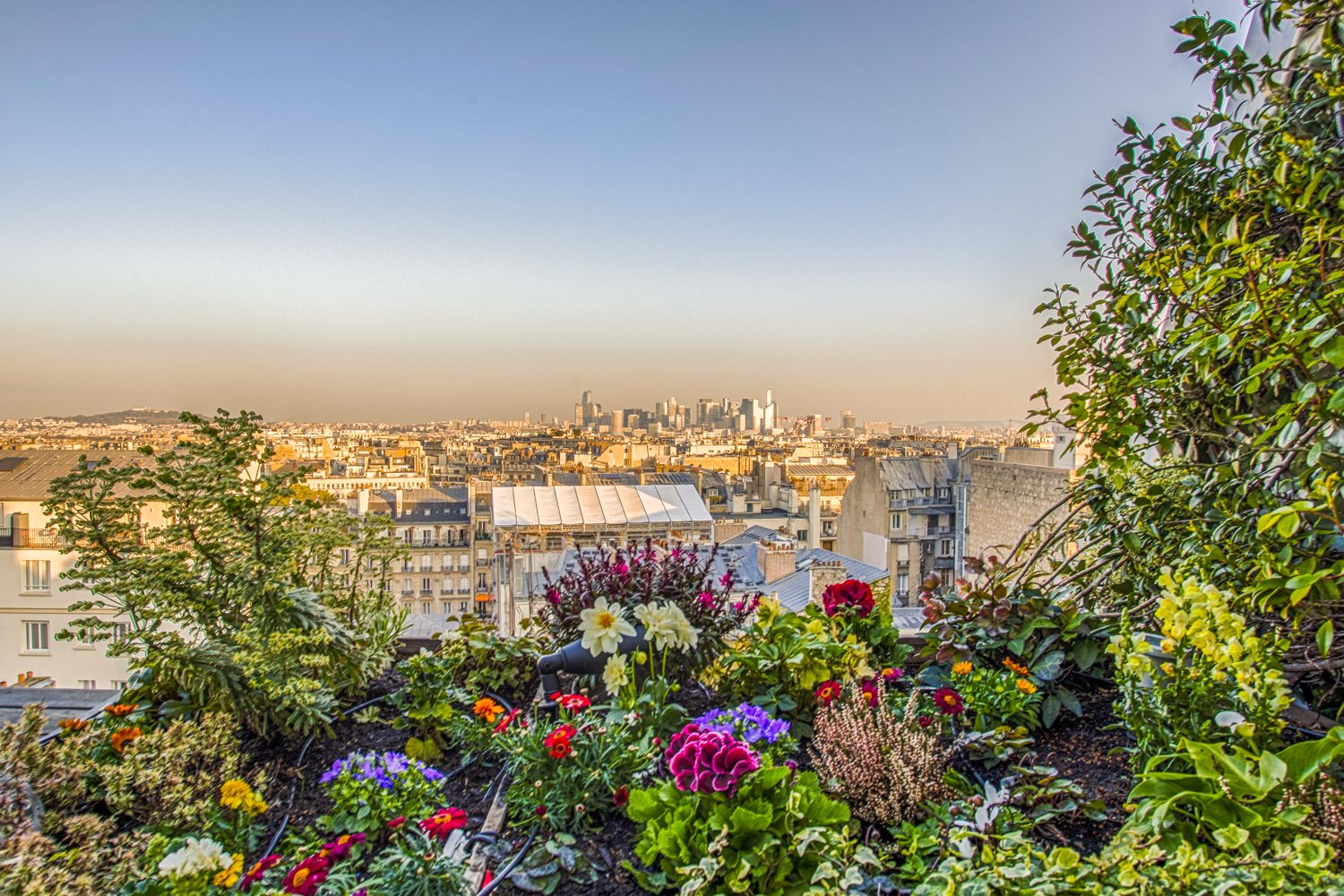 Saint Pierre Penthouse