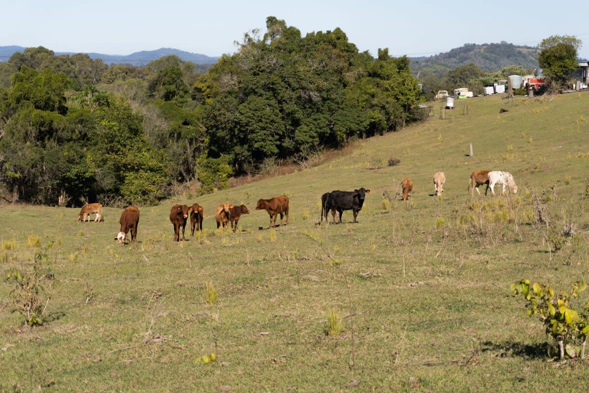 Property Image 2 - Mary Valley Views by Tiny Away