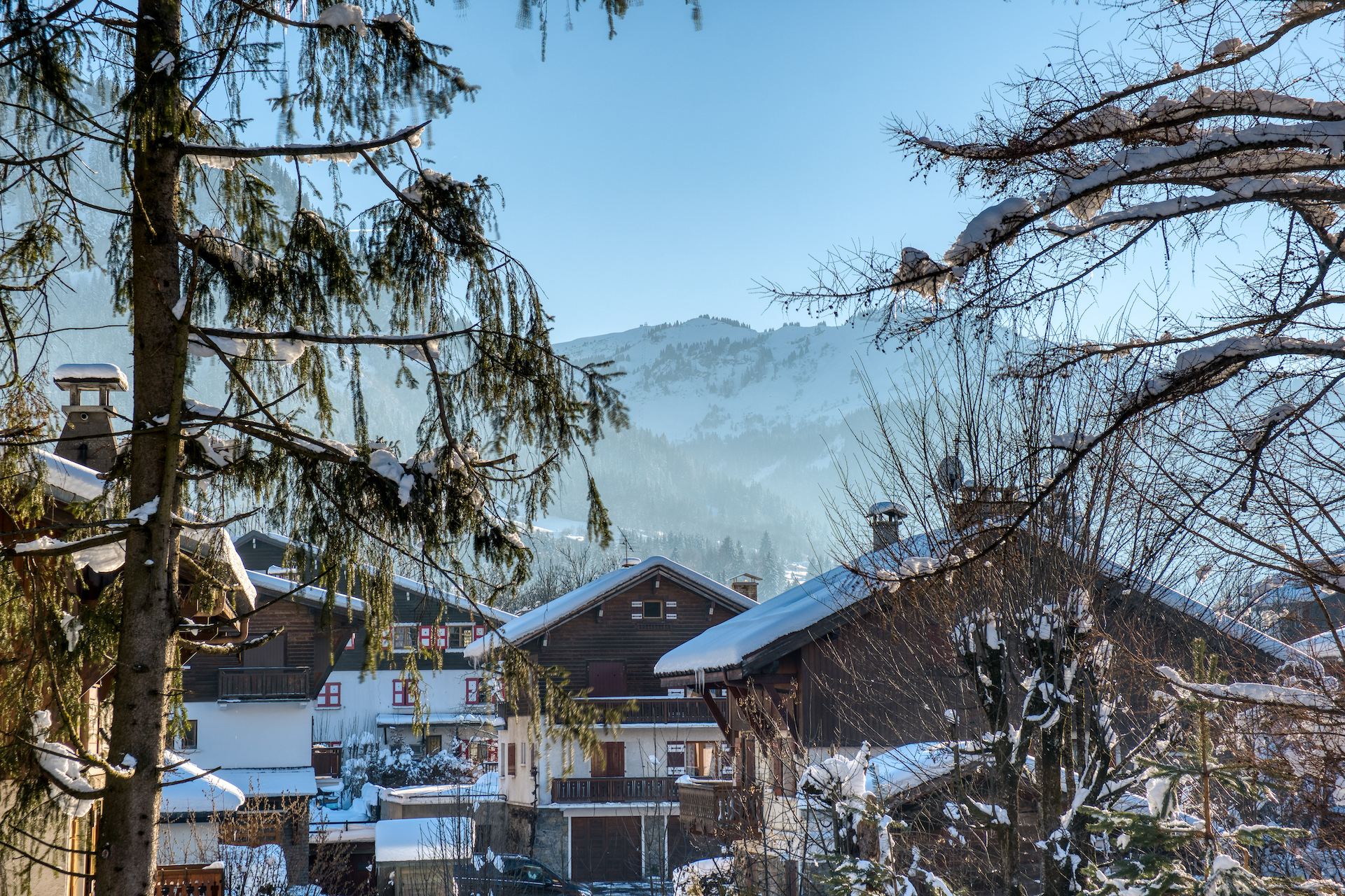 Elegant 3 Bedroom Alpine Lodge with Ski Room