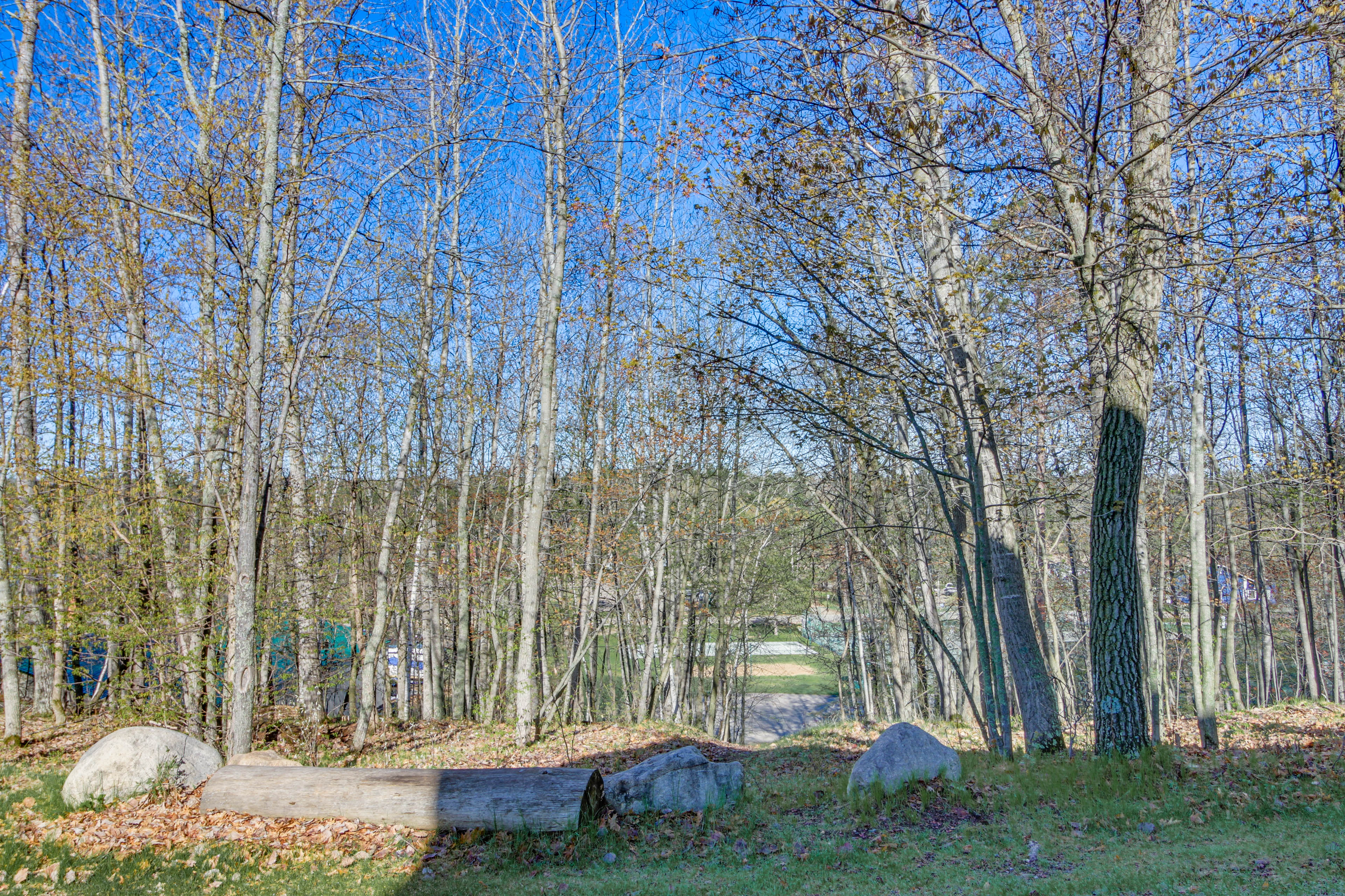 Property Image 1 - Nisswa Townhome w/ Boat Slip + Gull Lake Access!