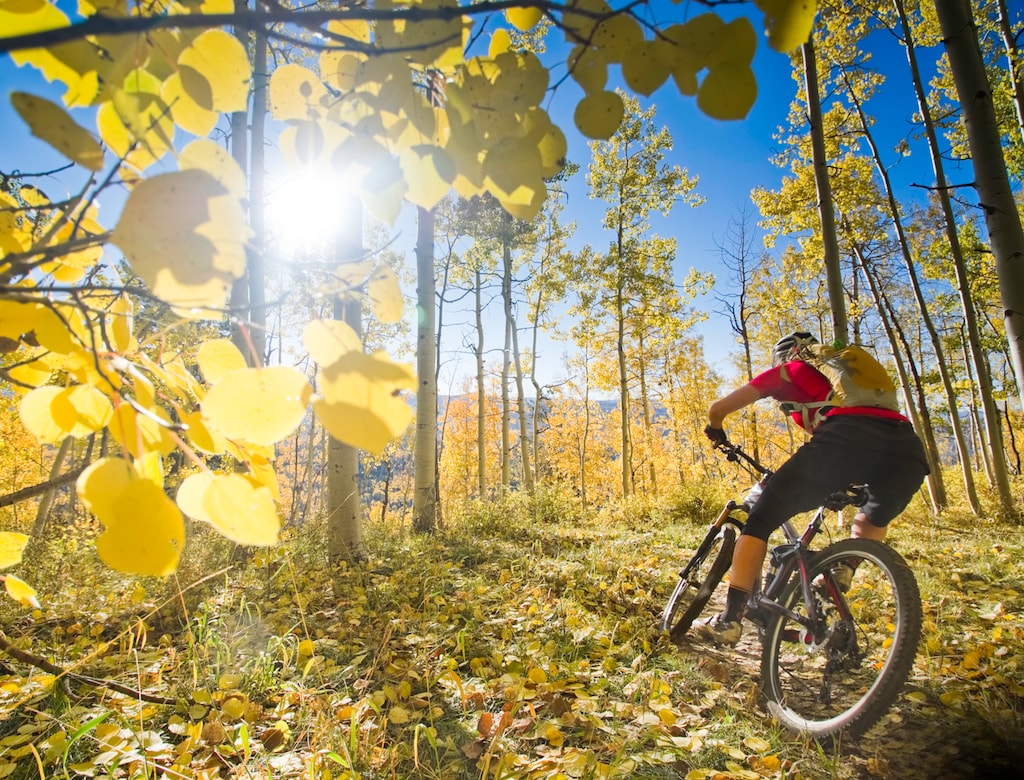 Access to epic mountain biking trails