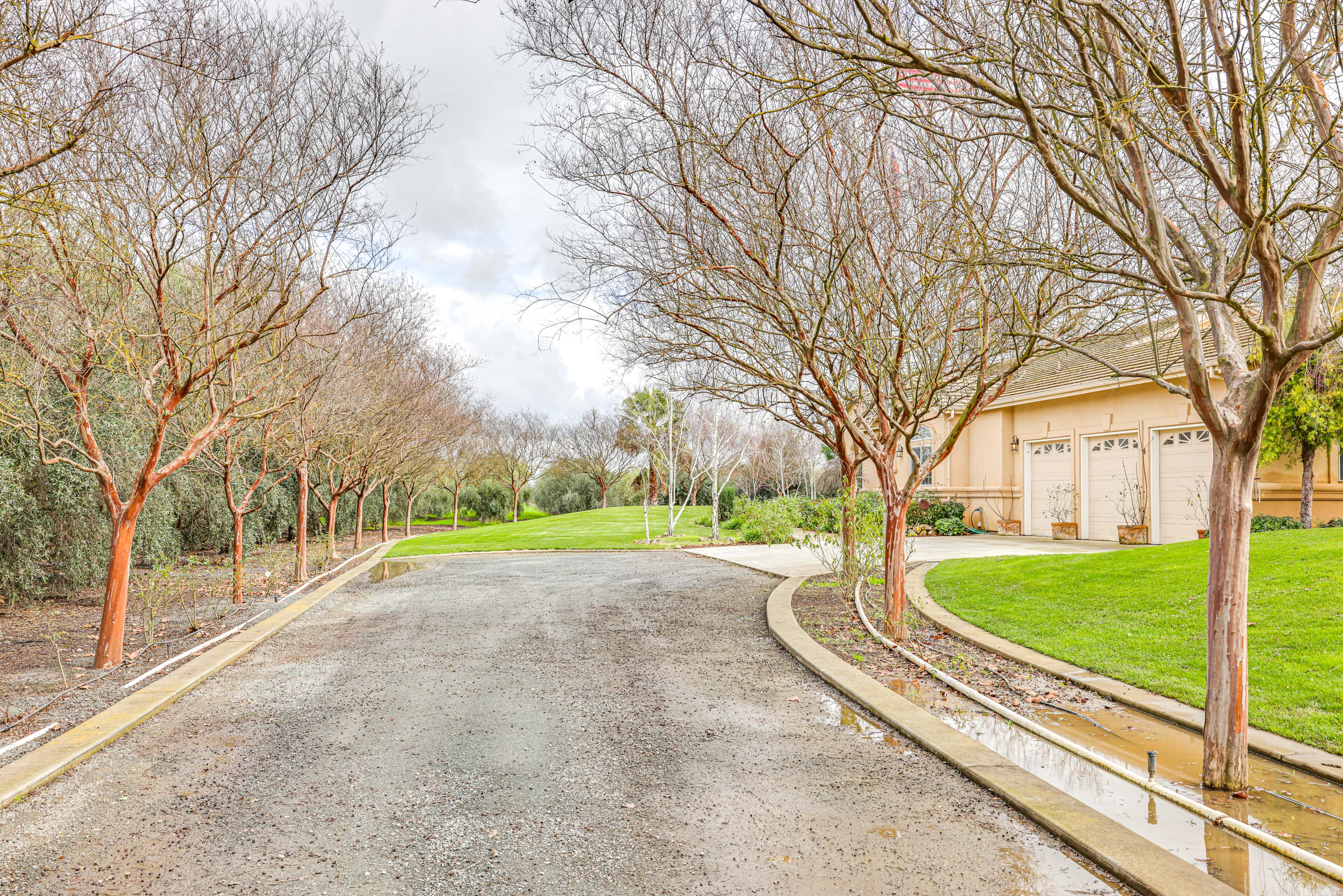 Property Image 1 - Beautiful Home w/ Hot Tub on Byron Olive Farm